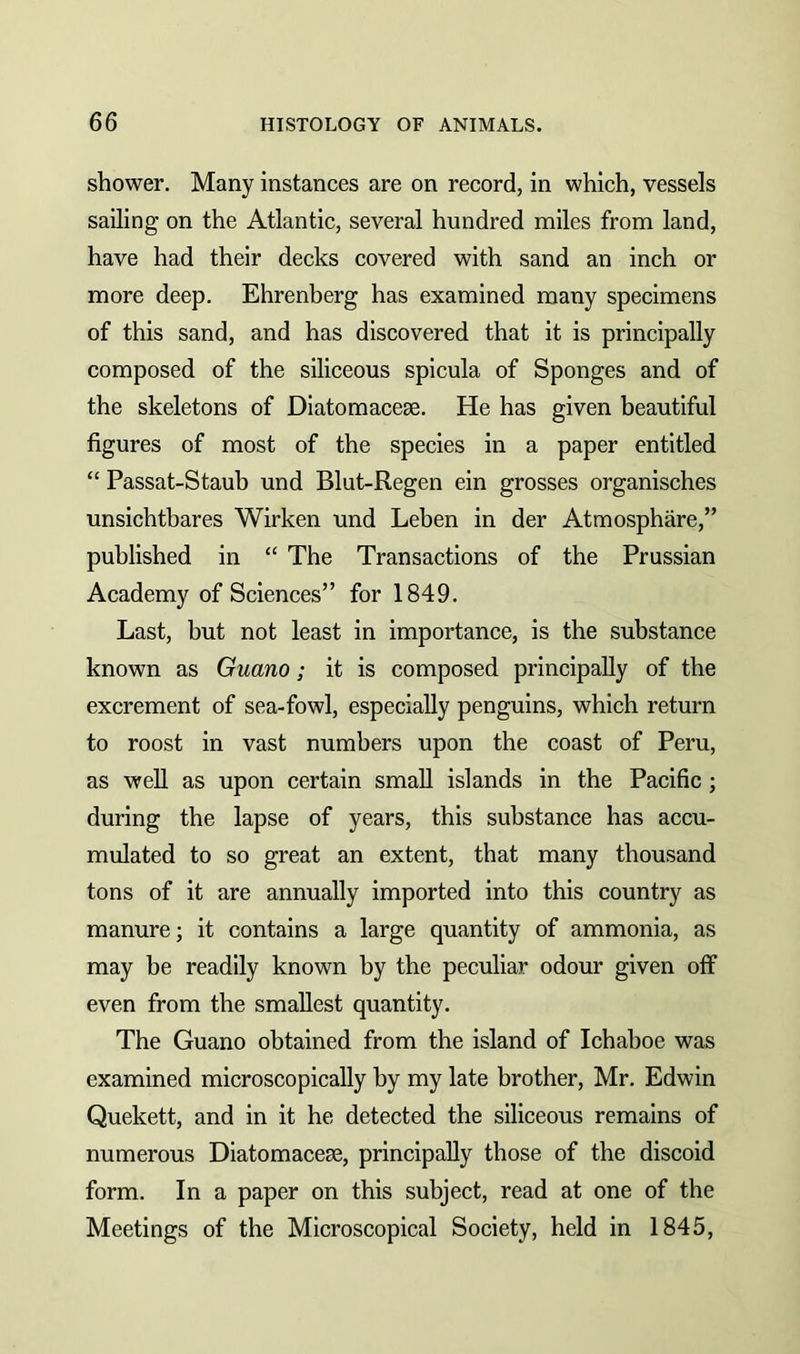 shower. Many instances are on record, in which, vessels sailing on the Atlantic, several hundred miles from land, have had their decks covered with sand an inch or more deep. Ehrenberg has examined many specimens of this sand, and has discovered that it is principally composed of the siliceous spicula of Sponges and of the skeletons of Diatomaceae. He has given beautiful figures of most of the species in a paper entitled “ Passat-Staub und Blut-Regen ein grosses organisches unsichtbares Wirken und Leben in der Atmosphare,” published in “ The Transactions of the Prussian Academy of Sciences” for 1849. Last, but not least in importance, is the substance known as Guano; it is composed principally of the excrement of sea-fowl, especially penguins, which return to roost in vast numbers upon the coast of Peru, as well as upon certain small islands in the Pacific ; during the lapse of years, this substance has accu- mulated to so great an extent, that many thousand tons of it are annually imported into this country as manure; it contains a large quantity of ammonia, as may be readily known by the peculiar odour given off even from the smallest quantity. The Guano obtained from the island of Ichahoe was examined microscopically by my late brother, Mr. Edwin Quekett, and in it he detected the siliceous remains of numerous Diatomacese, principally those of the discoid form. In a paper on this subject, read at one of the Meetings of the Microscopical Society, held in 1845,