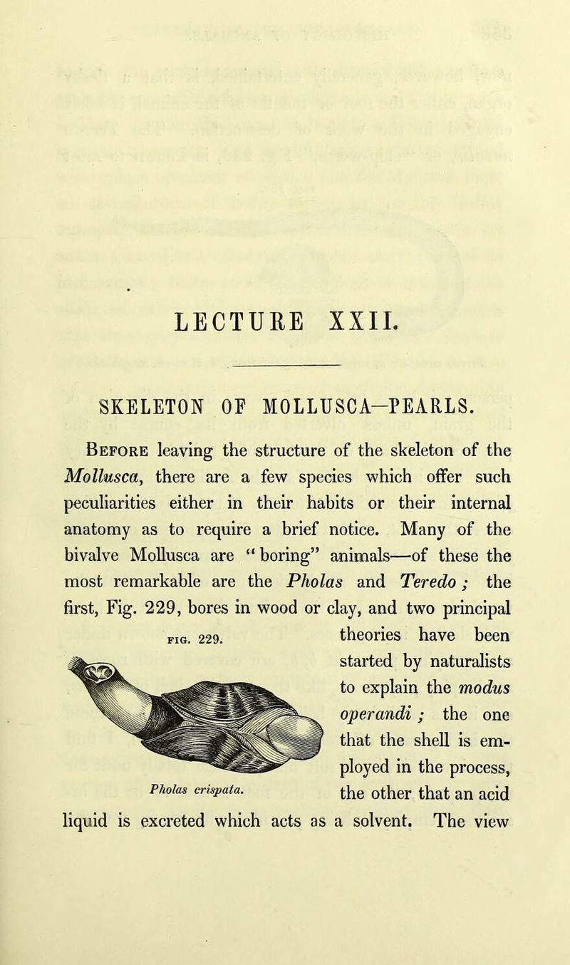 LECTURE XXII. SKELETON OE MOLLUSCA-PEARLS. Before leaving the structure of the skeleton of the Mollusca, there are a few species which offer such peculiarities either in their habits or their internal anatomy as to require a brief notice. Many of the bivalve Mollusca are “ boring” animals—of these the most remarkable are the Pholas and Teredo; the first, Fig. 229, bores in wood or clay, and two principal FIG. 229. theories have been started by naturalists to explain the modus operandi; the one that the shell is em- ployed in the process, Pholas crispata. the other that an acid liquid is excreted which acts as a solvent. The view