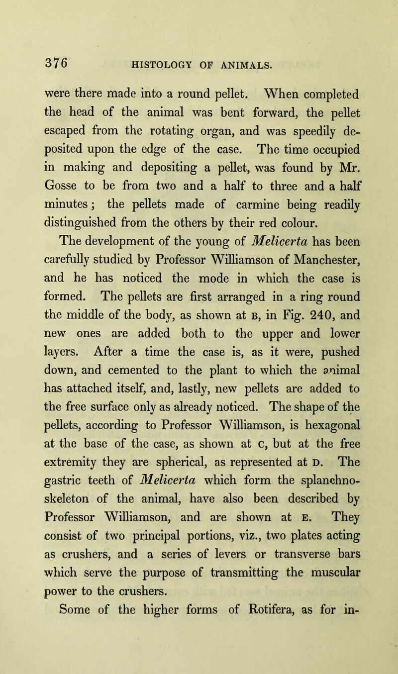 were there made into a round pellet. When completed the head of the animal was bent forward, the pellet escaped from the rotating organ, and was speedily de- posited upon the edge of the case. The time occupied in making and depositing a pellet, was found by Mr. Gosse to be from two and a half to three and a half minutes; the pellets made of carmine being readily distinguished from the others by their red colour. The development of the young of Melicerta has been carefully studied by Professor Williamson of Manchester, and he has noticed the mode in which the case is formed. The pellets are first arranged in a ring round the middle of the body, as shown at b, in Fig. 240, and new ones are added both to the upper and lower layers. After a time the case is, as it were, pushed down, and cemented to the plant to which the animal has attached itself, and, lastly, new pellets are added to the free surface only as already noticed. The shape of the pellets, according to Professor Williamson, is hexagonal at the base of the case, as shown at c, but at the free extremity they are spherical, as represented at D. The gastric teeth of Melicerta which form the splanchno- skeleton of the animal, have also been described by Professor Williamson, and are shown at e. They consist of two principal portions, viz., two plates acting as crushers, and a series of levers or transverse bars which serve the purpose of transmitting the muscular power to the crushers. Some of the higher forms of Rotifera, as for in-