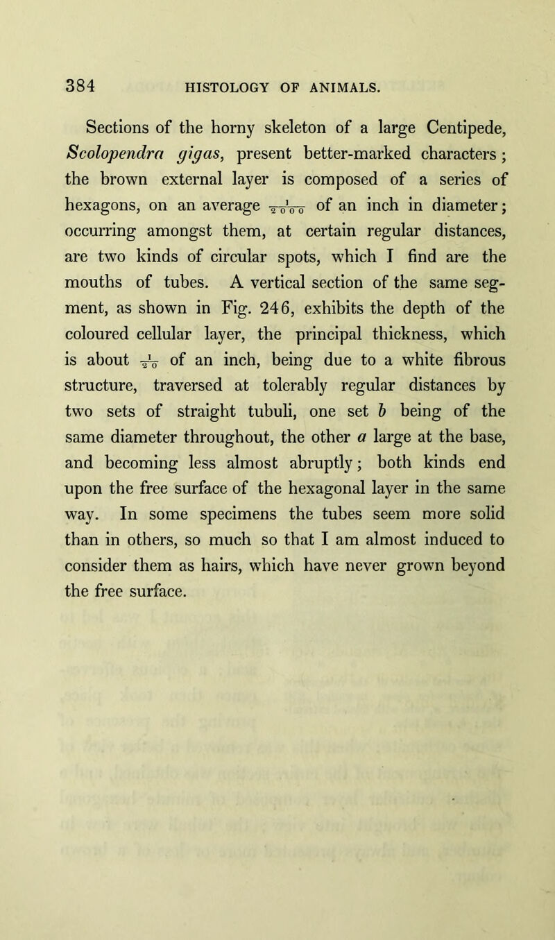 Sections of the horny skeleton of a large Centipede, Scolopendrct gigas, present better-marked characters; the brown external layer is composed of a series of hexagons, on an average ■5-51g7 of an inch in diameter; occurring amongst them, at certain regular distances, are two kinds of circular spots, which I find are the mouths of tubes. A vertical section of the same seg- ment, as shown in Fig. 246, exhibits the depth of the coloured cellular layer, the principal thickness, which is about aV of an inch, being due to a white fibrous structure, traversed at tolerably regular distances by two sets of straight tubuli, one set b being of the same diameter throughout, the other a large at the base, and becoming less almost abruptly; both kinds end upon the free surface of the hexagonal layer in the same way. In some specimens the tubes seem more solid than in others, so much so that I am almost induced to consider them as hairs, which have never grown beyond the free surface.