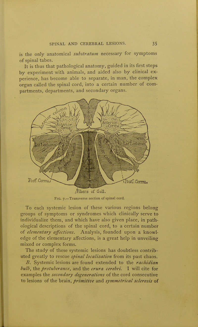 is the only anatomical substratum necessary for symptoms of spinal tabes. It is thus that pathological anatomy, guided in its first steps by experiment with animals, and aided also by clinical ex- perience, has become able to separate, in man, the complex organ called the spinal cord, into a certain number of com- partments, departments, and secondary organs. /Hbers of Goli, Fig. 7.—Transverse section of spinal cord. To each systemic lesion of these various regions belong groups of symptoms or syndromes which clinically serve to individualize them, and which have also given place, in path- ological descriptions of the spinal cord, to a certain number of elementary affections. Analysis, founded upon a knowl- edge of the elementary affections, is a great help in unveiling mixed or complex forms. The study of these systemic lesions has doubtless contrib- uted greatly to rescue spinal localization from its past chaos. B. Systemic lesions are found extended to the rachidian bulb, the protuberance, and the crura cerebri. I will cite for examples the secondary degenerations of the cord consecutive to lesions of the brain, primitive and symmetrical sclerosis of