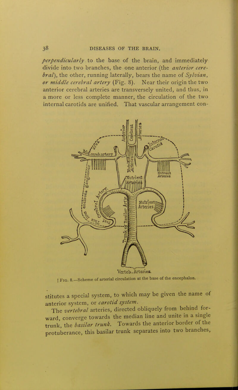 perpendicularly to the base of the brain, and immediately divide into two branches, the one anterior (the anterior cere- bral), the other, running laterally, bears the name of Sylvian, or middle cerebral artery (Fig. 8). Near their origin the two anterior cerebral arteries are transversely united, and thus, in a more or less complete manner, the circulation of the two internal carotids are unified. That vascular arrangement con- Verteb. Arterlea. [ Fig. 8.—Scheme of arterial circulation at the base of the encephalon. stitutes a special system, to which may be given the name of anterior system, or carotid system. The vertebral arteries, directed obliquely from behind for- ward, converge towards the median line and unite in a single trunk, the basilar trunk. Towards the anterior border of the protuberance, this basilar trunk separates into two branches,