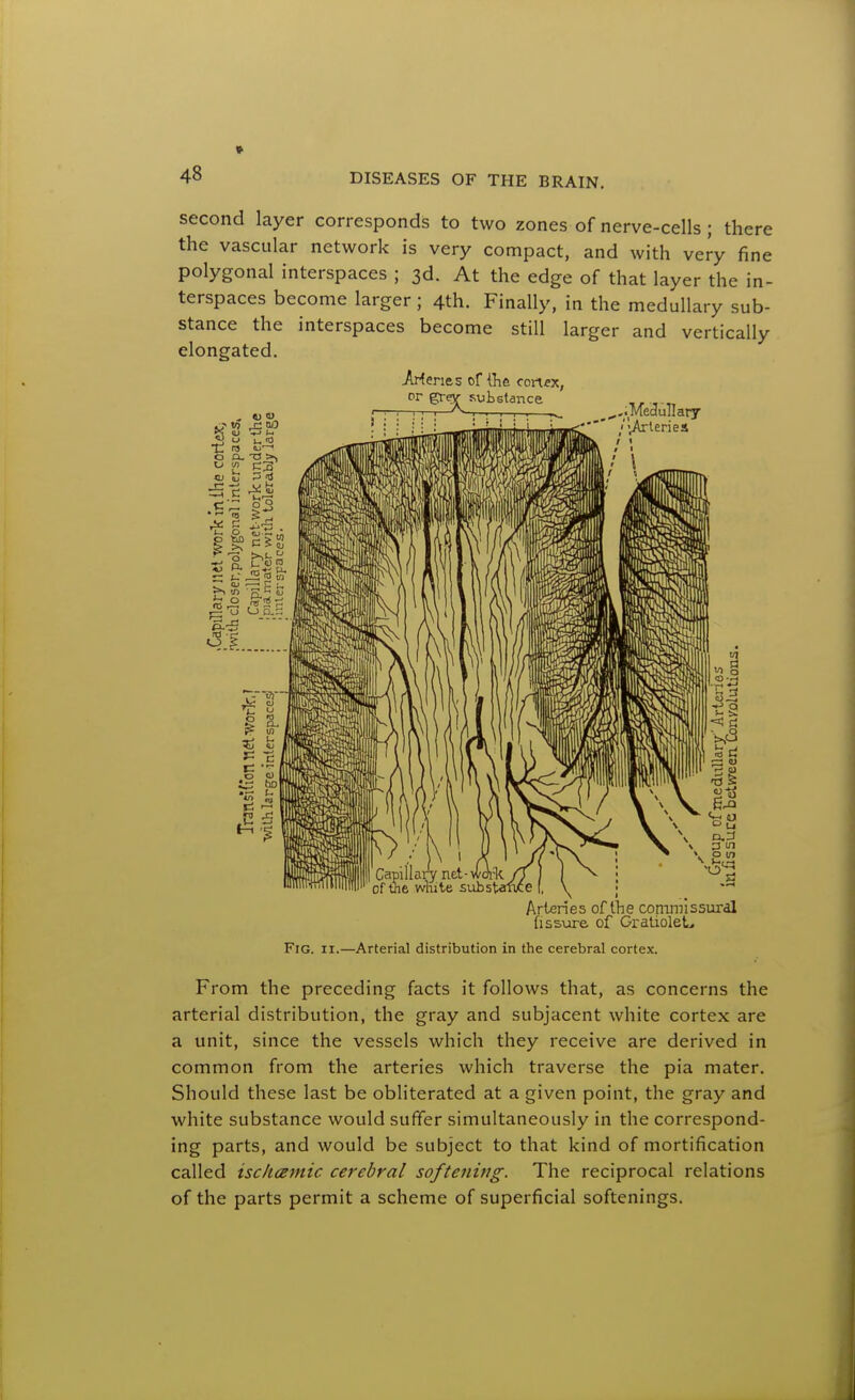 second layer corresponds to two zones of nerve-cells ; there the vascular network is very compact, and with very fine polygonal interspaces ; 3d. At the edge of that layer the in- terspaces become larger; 4th. Finally, in the medullary sub- stance the interspaces become still larger and vertically elongated. Arferies ofilife conex, Pr gr?!^ !-.ubstance ..MeSulIaty ''vArleries Arteries of llie conin/issural fissure of GratioleL Fig. II.—Arterial distribution in the cerebral cortex. From the preceding facts it follows that, as concerns the arterial distribution, the gray and subjacent white cortex are a unit, since the vessels which they receive are derived in common from the arteries which traverse the pia mater. Should these last be obliterated at a given point, the gray and white substance would suffer simultaneously in the correspond- ing parts, and would be subject to that kind of mortification called isckcemic cerebral softening. The reciprocal relations of the parts permit a scheme of superficial softenings.