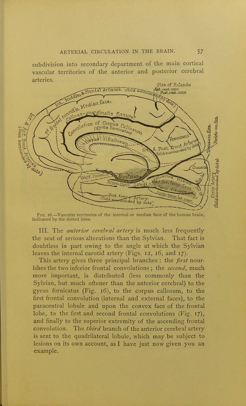 subdivision into secondary department of the main cortical vascular territories of the anterior and posterior cerebral arteries. Fiss.of fJoIando Fig. i6.—^Vascular territories of the internal or median face of the human brain, indicated by the dotted lines. III. The anterior cerebral artery is much less frequently the seat of serious alterations than the Sylvian. That fact is doubtless in part owing to the angle at which the Sylvian leaves the internal carotid artery (Figs. 12, 16, and 17). This artery gives three principal branches : the first nour- ishes the two inferior frontal convolutions ; the second, much more important, is distributed (less commonly than the Sylvian, but much oftener than the anterior cerebral) to the gyrus fornicatus (Fig. 16), to the corpus callosum, to the first frontal convolution (internal and external faces), to the paracentral lobule and upon the convex face of the frontal lobe, to the first and second frontal convolutions (Fig. 17), and finally to the superior extremity of the ascending frontal convolution. The third branch of the anterior cerebral artery is sent to the quadrilateral lobule, which may be subject to lesions on its own account, as I have just now given you an example.