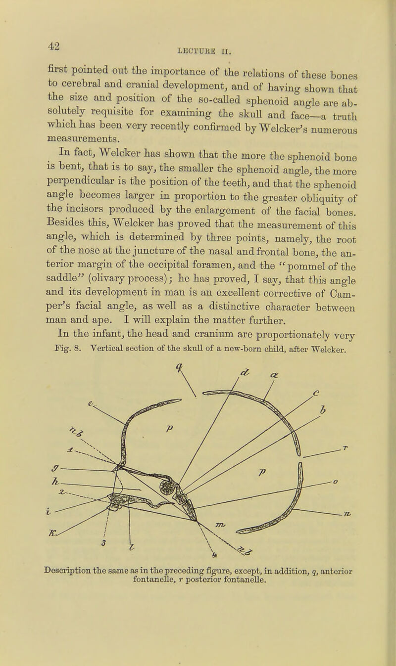 LECTOKE n. first pointed out the importance of the relations of these bones to cerebral and cranial development, and of having shown that the size and position of the so-called sphenoid angle are ab- solutely requisite for examining the skull and face—a truth which has been very recently confirmed by Welcker's numerous measurements. In fact, Welcker has shown that the more the sphenoid bone is bent, that is to say, the smaller the sphenoid angle, the more perpendicular is the position of the teeth, and that the sphenoid angle becomes larger in proportion to the greater obHquity of the incisors produced by the enlargement of the facial bones. Besides this, Welcker has proved that the measurement of this angle, which is determined by three points, namely, the root of the nose at the juncture of the nasal and frontal bone, the an- terior margin of the occipital foramen, and the pommel of the saddle (olivary process); he has proved, I say, that this angle and its development in man is an excellent corrective of Cam- per^s facial angle, as well as a distinctive character between man and ape. I will explain the matter further. In the infant, the head and cranium are proportionately very Fig. 8. Vertical section of the skull of a new-bom child, after Welcker. Description the same as in the preceding figure, except, in addition, g, anteiior fontaneUe, r posterior fontanelle.
