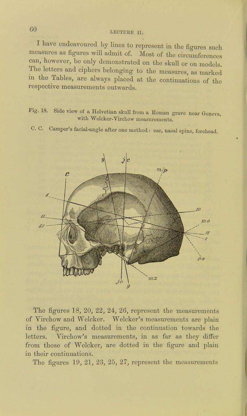 GO LECTURE II. I have endeavoured by lines to represent in the figures such measures as figures will admit of. Most of the circumferences can, however, bo only demonstrated on the skull or on models. The letters and ciphers belonging to the measures, as marked m the Tables, are always placed at the continuations of the respective measurements outwards. Fig. 18. Side view of a Helvetian skiiU from a Eoman grave neai- Geneva, witli Welcker-Vii-cliow measm-ements. C. C. Camper's facial-angle after one method: ear, nasal spine, forehead. The figures 18, 20, 22, 24, 26, represent the measm-ements of Virchow and Welcker, Welcker^s measurements are plain in the figure, and dotted in the continuation towards the letters. Yirchow's measurements, in as far as they difier from those of Welcker, are dotted in the figure and plain in their continuations. The figures 19, 21, 23, 25, 27, represent the measurements