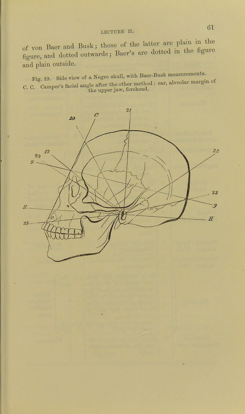 LECTURE II. of von B^v amd Busk; tlioso of the latter are plain in the fil:e%na dotted ontwards; Baer-s are dotted m the figure and plain outside. Pi. 19. Side view of a Negi'o skuU, with Baer-Busk measurements. C C. Camper's facial angle after the other method : ear, alveolar margm of ^ the upper jaw, forehead. 2/