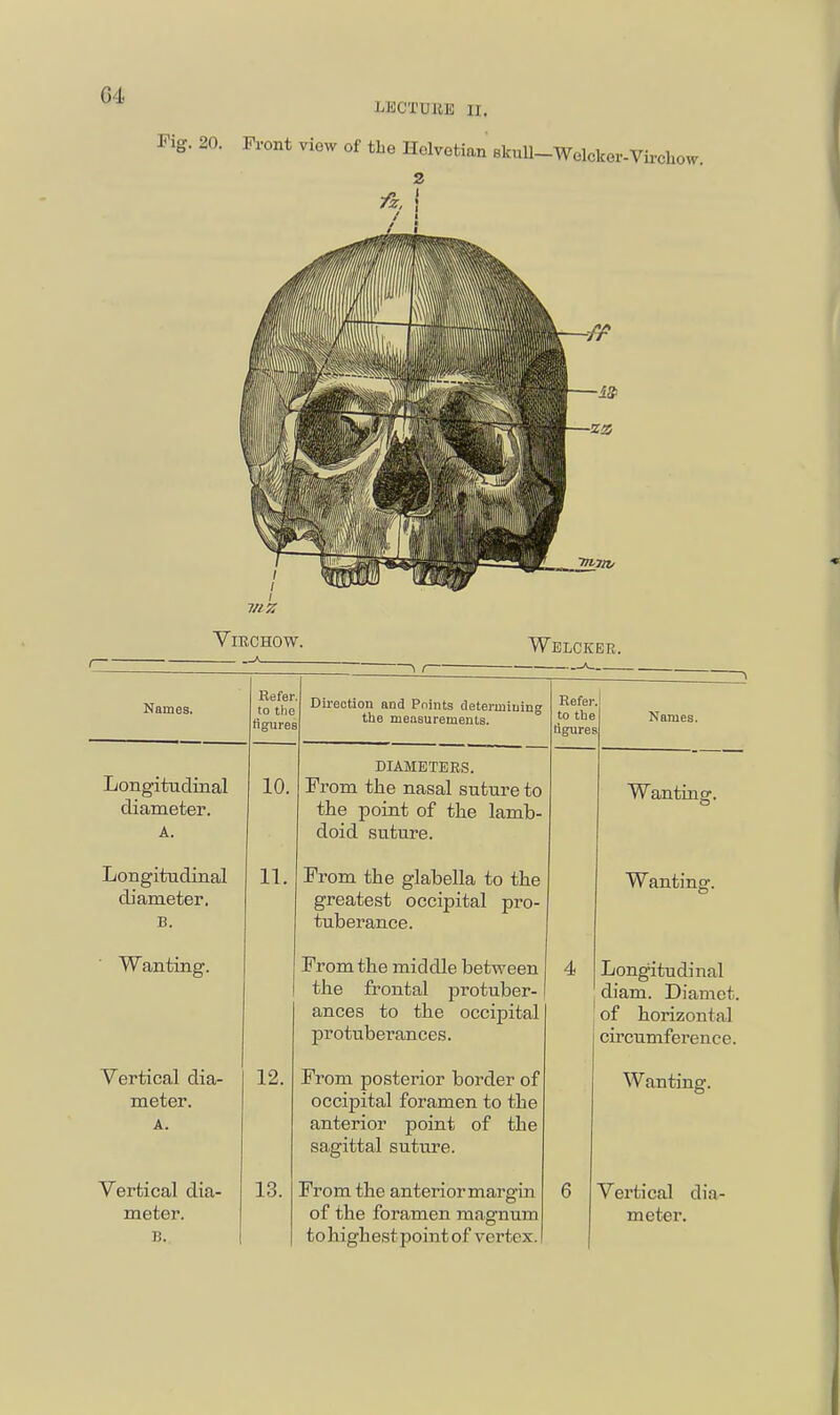 LKCTUKE ir. Fig. 20. Front view of the Holvotian skuU-Welcker-Vi Ifei'-Vii'chow, VIZ ViRCHOW. Welcker. Names. Refer to the figures Direction and Points determining the measurements. Refei to tlie figure Names. Longitudinal diameter. A. 10. DIAMETERS. From the nasal suture to the point of the lamb- doid suture. Wantrusr. Longitudinal diameter. B. 11. From the glabella to the greatest occipital pro- tuberance. Wanting. Wanting. From the middle between the frontal protuber- ances to the occipital protuberances. 4 Longitudinal diam. Diamet. of horizontal circumference. Vertical dia- meter. A. 12. From posterior border of occipital foramen to the anterior point of the sagittal suture. Wanting. Vertical dia- meter. B. 13. From the anterior margin of the foramen magnum to highest point of vertex.' 6 Vertical dia- meter.