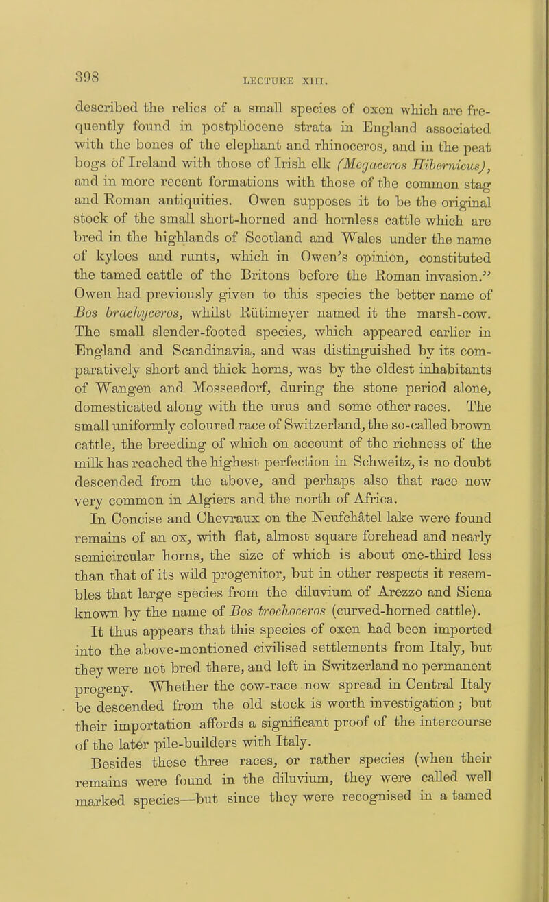 described the relics of a small species of oxen whicli are fre- quently found in postpliocene strata in England associated •with the bones of the elephant and rhinoceros, and in the peat bogs of Ireland with those of Irish elk (Megaceros EihemicusJ, and in more recent formations with those of the common stag and Eoman antiquities. Owen supposes it to be the original stock of the small short-horned and hornless cattle which are bred in the highlands of Scotland and Wales under the name of kyloes and runts, which in Owen's opinion, constituted the tamed cattle of the Britons before the Roman invasion. Owen had previously given to this species the better name of Bos brachyceros, whilst Riitimeyer named it the marsh-cow. The small slender-footed species, which appeared earlier in England and Scandinavia, and was distinguished by its com- paratively short and thick horns, was by the oldest inhabitants of Wangen and Mosseedorf, during the stone period alone, domesticated along with the urus and some other races. The small uniformly coloured race of Switzerland, the so-called brown cattle, the breeding of which on account of the richness of the milk has reached the highest perfection in Schweitz, is no doubt descended from the above, and perhaps also that race now very common in Algiers and the north of Africa. In Concise and Chevraux on the Neufchatel lake were found remains of an ox, with flat, almost square forehead and nearly semicircular horns, the size of which is about one-third less than that of its wild progenitor, but in other respects it resem- bles that large species from the diluvium of Arezzo and Siena known by the name of Bos trochoceros (curved-homed cattle). It thus appears that this species of oxen had been imported into the above-mentioned civiHsed settlements from Italy, but they were not bred there, and left in Switzerland no permanent progeny. Whether the cow-race now spread in Central Italy be descended from the old stock is worth investigation; but their importation afibrds a significant proof of the intercourse of the later pile-builders with Italy. Besides these three races, or rather species (when their remains were found in the diluvium, they were called well marked species—but since they were recognised in a tamed