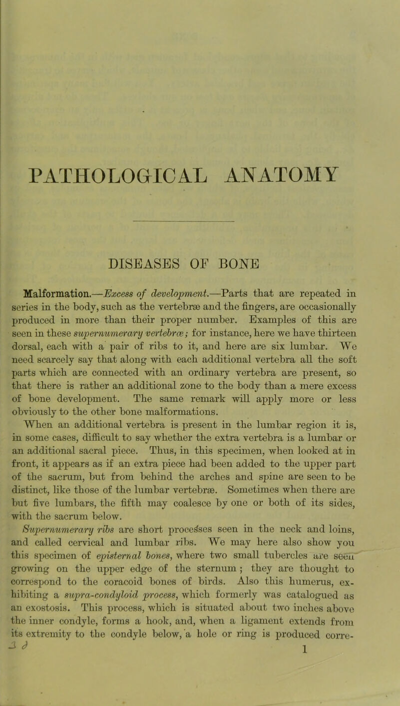 PATHOLOGICAL ANATOMY DISEASES OF BONE Malformation.—Excess of development.—Parts that are repeated in series in the body, such as the vertebrae and the fingers, are occasionally produced in more than their proper number. Examples of this are seen in these supernumerary vertebrce; for instance, here we have thirteen dorsal, each with a pair of ribs to it, and here are six lumbar. We need scarcely say that along with each additional vertebra all the soft parts which are connected with an ordinary vertebra are present, so that there is rather an additional zone to the body than a mere excess of bone development. The same remark will apply more or less obviously to the other bone malformations. When an additional vertebra is present in the lumbar region it is, in some cases, difficult to say whether the extra vertebra is a lumbar or an additional sacral piece. Thus, in this specimen, when looked at in front, it appears as if an extra piece had been added to the upjier part of the sacrum, but from behind the arches and spine are seen to be distinct, like those of the lumbar vertebrae. Sometimes when there are but five lumbars, the fifth may coalesce by one or both of its sides, with the sacrum below. Supernumerary ribs are short processes seen in the neck and loins, and called cervical and lumbar ribs. We may here also show you this specimen of episternal hones, where two small tubercles are seen growing on the upper edge of the sternum ; they are thought to correspond to the coracoid bones of birds. Also this humerus, ex- hibiting a supra-condyloid process, which formerly was catalogued as an exostosis. This process, which is situated about two inches above the inner condyle, forms a hook, and, when a ligament extends from its extremity to the condyle below, a hole or ring is produced corre-
