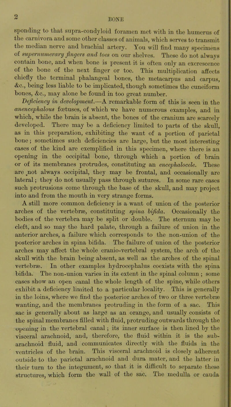 130NPJ sponding to tlicat siipra-coiidyloid foramen met with in the humerus of the carnivora and some other classes of animals, which serves to transmit the median nerve and brachial artery. You will find many specimens of supernumerary fingers and toes on our shelves. These do not always contain bone, and when bone is present it is often only an excrescence of the bone of the next finger or toe. This multiplication affects chiefly the tenninal phalangeal bones, the metacarpus and carpus, &c., being less liable to be implicated, though sometimes the cuneifonn bones, &c., may alone be formd in too great nmnber. Deficiency in development.—A remarkable fonn of this is seen in the anencephalous foetuses, of which we have numerous examples, and in which, while the brain is absent, the bones of the cranium are scarcely developed. There may be a deficiency limited to parts of the skull, as in this preparation, exhibiting the want of a portion of j^arietal bone; sometimes such deficiencies are large, but the most interesting cases of the kind are exemplified in this specimen, where there is an opening in the occipital bone, through which a portion of brain or of its membranes protrudes, constituting an encephalocele. These are ^not always occipital, they may be frontal, and occasionally are lateral; they do not usually pass through sutures. In some rare cases such protrusions come through the base of the skull, and may project into and from the mouth in very strange forms. A still more common deficiency is a want of union of the posterior arches of the vertebrae, constituting spina hifida. Occasionally the bodies of the vertebra may be split or double. The sternum may be cleft, and so may the hard palate, through a failure of union in the anterior arches, a failure which corresponds to the non-union of the posterior arches in spina bifida. The failure of union of the posterior arches may affect the whole cranio-vertebral system, the arch of the skull with the brain being absent, as well as the arches of the spinal vertebrae. In other examples hydrocephalus coexists with the spina bifida. The non-union varies in its extent in the spinal column ; some cases show an open canal the whole length of the spine, while others exhibit a deficiency limited to a particular locality. This is generally in the loins, where we find the posterior arches of two or three vertebrae wanting, and the membranes protruding in the form of a sac. This sac is generally about as large as an orange, and usually consists of the spinal membranes filled with fluid, protruding outwards through the upCuing in the vertebral canal; its inner surface is then lined by the visceral arachnoid, and, therefore, the fluid within it is the sub- arachnoid fluid, and communicates dix*ectly with the fluids hi the ventricles of the brain. This visceral arachnoid is closely adherent outside to the parietal arachnoid and dura mater, and the latter in their turn to the integument, so that it is difficult to separate these structures, which form the wall of the sac, The medulla or cauda