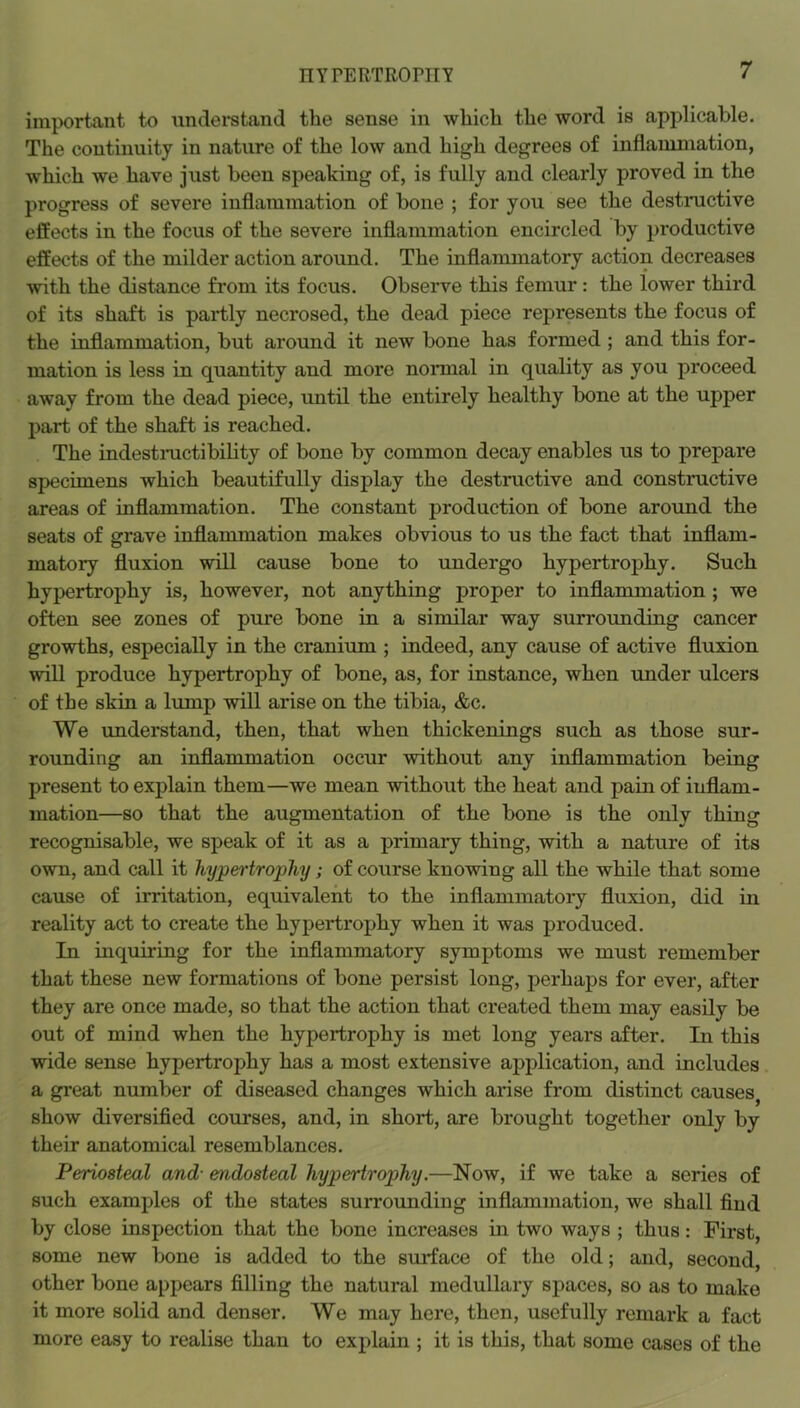 important to understand the sense in which the word is applicable. The continuity in nature of the low and high degrees of inflammation, which we have just been speaking of, is fully and clearly proved in the progress of severe inflammation of bone ; for you see the destructive effects in the focus of the severe inflammation encircled by productive effects of the milder action around. The inflammatory action decreases with the distance from its focus. Observe this femur : the lower third of its shaft is partly necrosed, the dead piece represents the focus of the inflammation, but around it new bone has formed ; and this for- mation is less in quantity and more normal in quality as you proceed away from the dead piece, imtil the entirely healthy bone at the upper part of the shaft is reached. The indestructibility of bone by common decay enables us to prepare specimens which beautifully display the destructive and constructive areas of inflammation. The constant production of bone around the seats of grave inflammation makes obvious to us the fact that inflam- matory fluxion will cause bone to undergo hypertrophy. Such hypertrophy is, however, not anything proper to inflammation ; we often see zones of pure bone in a similar way surrounding cancer growths, especially in the cranium ; indeed, any cause of active fluxion will produce hypertrophy of bone, as, for instance, when under ulcers of the skin a lump will arise on the tibia, &c. We understand, then, that when thickenings such as those sur- rounding an inflammation occur without any inflammation being present to explain them—we mean without the heat and pain of inflam- mation—so that the augmentation of the bone is the only thing recognisable, we speak of it as a primary thing, with a nature of its own, and call it hypertrophy; of course knowing all the while that some cause of irritation, equivalent to the inflammatory fluxion, did in reality act to create the hypertrophy when it was produced. In inquiring for the inflammatory symptoms we must remember that these new formations of bone persist long, perhaps for ever, after they are once made, so that the action that created them may easily be out of mind when the hypertrophy is met long years after. In this wide sense hypertrophy has a most extensive application, and includes a great number of diseased changes which arise from distinct causes^ show diversified courses, and, in short, are brought together only by their anatomical resemblances. Periosteal and- endosteal hypertrophy.—Now, if we take a series of such examples of the states surrounding inflammation, we shall find by close inspection that the bone increases in two ways ; thus: First, some new bone is added to the surface of the old; and, second, other bone appears filling the natural medullary spaces, so as to make it more solid and denser. We may here, then, usefully remark a fact more easy to realise than to explain ; it is this, that some cases of the