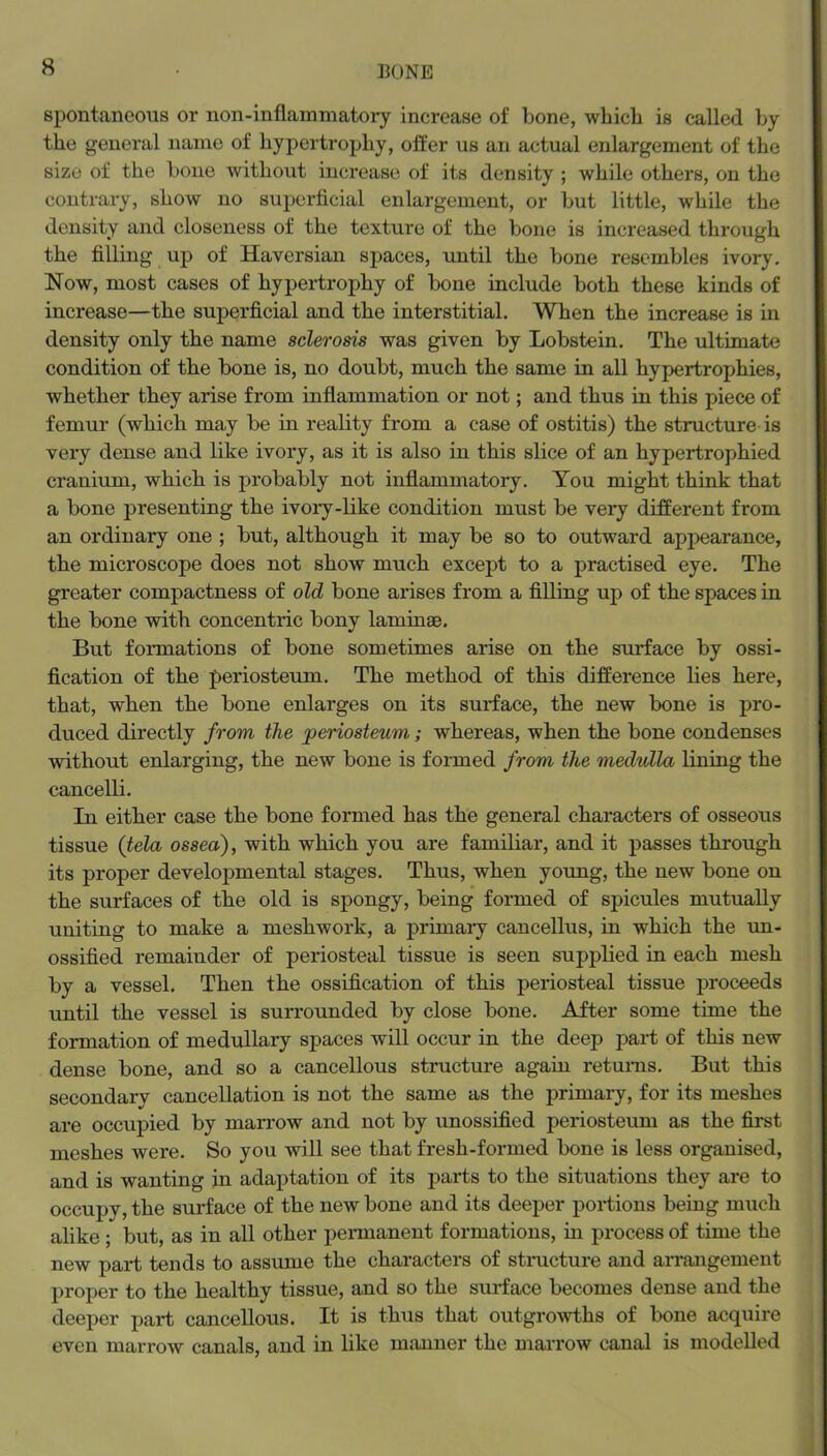 spontaneous or non-inflamniatory increase of bone, which is called by the general name of hypertrophy, offer us an actual enlargement of the size of the bone without increase of its density ; while others, on the contrary, show no superficial enlargement, or but little, while the density and closeness of the texture of the bone is increased through the filling up of Haversian spaces, until the bone resembles ivory. Now, most cases of hypertrophy of bone include both these kinds of increase—the superficial and the interstitial. When the increase is in density only the name sclerosis was given by Lobstein. The ultimate condition of the bone is, no doubt, much the same in all hypertrophies, whether they arise from inflammation or not; and thus in this piece of femur (which may be in reality from a case of ostitis) the structure is very dense and like ivory, as it is also in this slice of an hypertrophied cranium, which is probably not inflammatory. You might think that a bone presenting the ivoiy-like condition must be very different from an ordinary one ; but, although it may be so to outward appearance, the microscope does not show much except to a practised eye. The greater compactness of old bone arises from a filling up of the spaces in the bone with concentric bony laminae. But formations of bone sometimes arise on the surface by ossi- fication of the periosteum. The method of this difference lies here, that, when the bone enlarges on its surface, the new bone is pro- duced directly from the periosteum; whereas, when the bone condenses without enlarging, the new bone is formed from the medulla lining the cancelli. In either case the bone formed has the general characters of osseous tissue (tela ossea), with which you are familiar, and it passes through its proper developmental stages. Thus, when young, the new bone on the surfaces of the old is spongy, being formed of spicules mutually uniting to make a meshwork, a primary cancellus, in which the un- ossified remainder of periosteal tissue is seen supplied in each mesh by a vessel. Then the ossification of this periosteal tissue proceeds until the vessel is surrounded by close bone. After some time the formation of medullary spaces will occur in the deep part of this new dense bone, and so a cancellous structure again retm*ns. But this secondary cancellation is not the same as the primary, for its meshes are occupied by man'ow and not by unossificd periosteum as the first meshes were. So you will see that fresh-formed bone is less organised, and is wanting in adaptation of its parts to the situations they are to occupy, the surface of the new bone and its deej>er portions being much alike; but, as in all other permanent formations, in process of time the new part tends to assume the characters of stmcture and arrangement proper to the healthy tissue, and so the surface becomes dense and the deeper part cancellous. It is thus that outgrowths of bone acquire even marrow canals, and in like manner the marrow canal is modelled