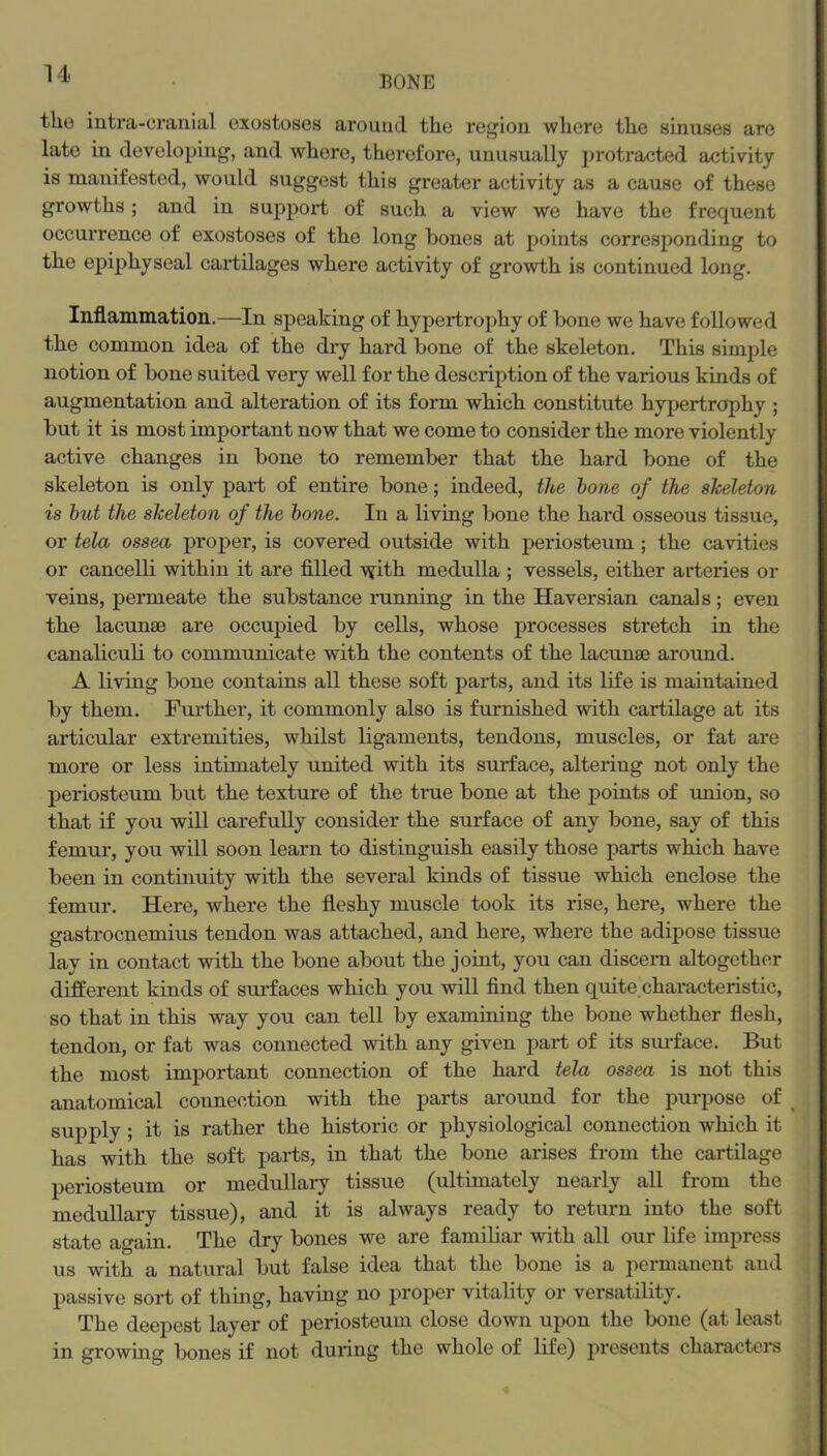 nONE the intra-cranial exostoses around the region where the sinuses are late in developing, and where, therefore, unusually protracted activity is manifested, would suggest this greater activity as a cause of these growths; and in support of such a view we have the frequent occurrence of exostoses of the long bones at points corresponding to the epiphyseal cartilages where activity of growth is continued long. Inflammation.—In speaking of hypertrophy of bone we have followed the common idea of the dry hard bone of the skeleton. This simple notion of bone suited very well for the description of the various kinds of augmentation and alteration of its form which constitute hypertrophy ; but it is most important now that we come to consider the more violently active changes in bone to remember that the hard bone of the skeleton is only part of entire bone; indeed, the hone of the skeleton is hut the skeleton of the hone. In a living bone the hard osseous tissue, or tela ossea proper, is covered outside with periosteum ; the cavities or cancelli within it are filled with medulla ; vessels, either arteries or veins, permeate the substance ninning in the Haversian canals; even the lacunae are occupied by cells, whose processes stretch in the canaliculi to communicate with the contents of the lacunae around. A living bone contains all these soft parts, and its life is maintained by them. Further, it commonly also is furnished with cartilage at its articular extremities, whilst ligaments, tendons, muscles, or fat are more or less intimately united with its surface, altering not only the periosteum but the texture of the true bone at the points of union, so that if you will carefully consider the surface of any bone, say of this femur, you will soon learn to distinguish easily those parts which have been in continuity with the several kinds of tissue which enclose the femur. Here, where the fleshy muscle took its rise, here, where the gastrocnemius tendon was attached, and here, where the adipose tissue lay in contact with the bone about the joint, you can discern altogether different kinds of surfaces which you will find then quite.characteristic, so that in this way you can tell by examining the bone whether flesh, tendon, or fat was connected with any given part of its smlace. But the most important connection of the hard tela ossea is not this anatomical connection with the parts arotmd for the purpose of ^ supply ; it is rather the historic or physiological connection which it has with the soft parts, in that the bone arises from the cartilage periosteum or medullaiy tissue (ultimately nearly all from the medullary tissue), and it is always ready to return into the soft state again. The dry bones we are familiar with all our life impress us with a natural but false idea that the bone is a permanent and passive sort of thing, having no proper vitality or versatility. The deepest layer of periosteum close down upon the bone (at least in growuag bones if not during the whole of life) presents characters