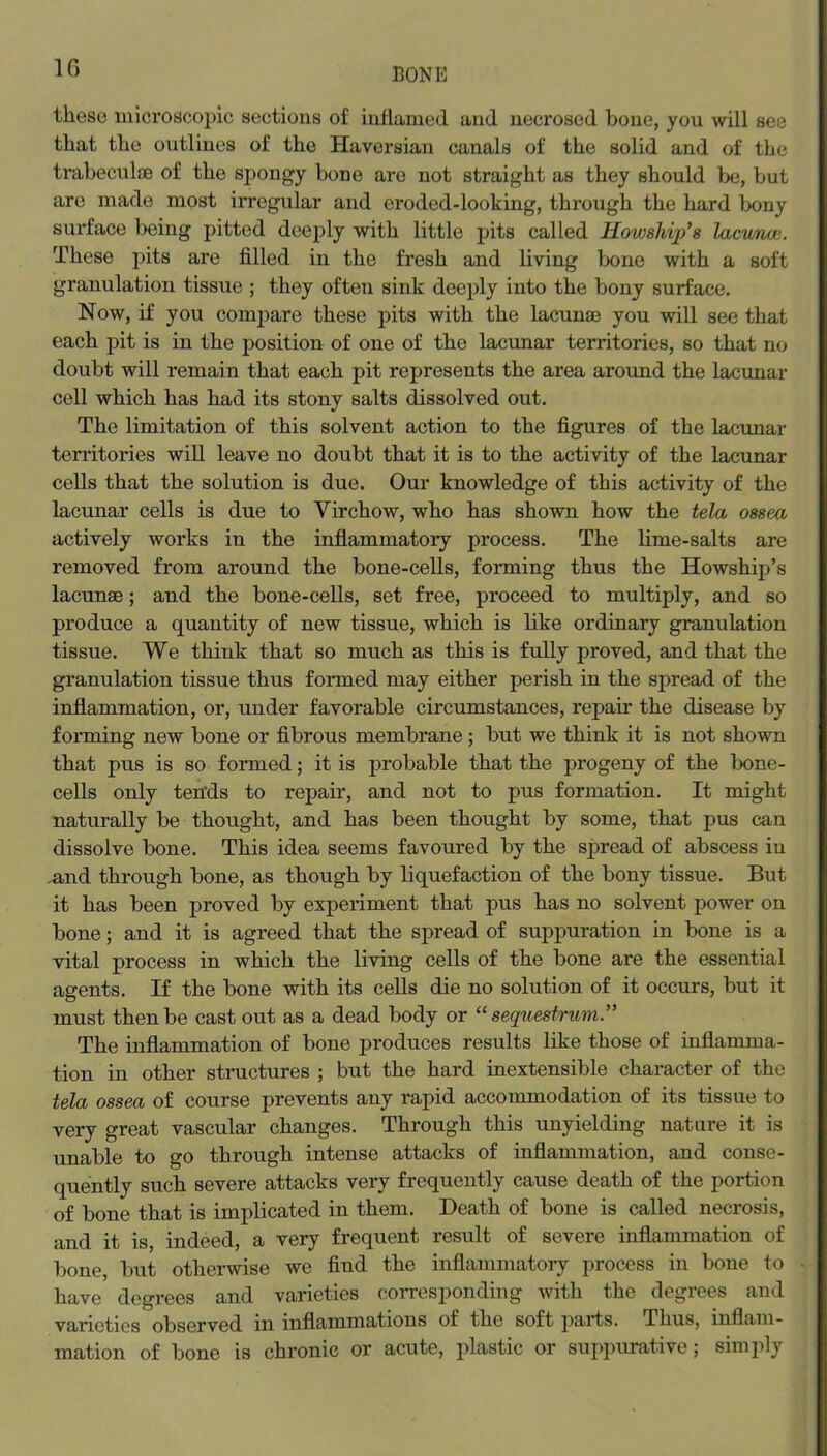 IG these microscoi>ic sections of inflamed and necrosed bone, you will see that the outlines of the Haversian canals of the solid and of the trabecTilce of the spongy bone are not straight as they should be, but are made most irregular and eroded-looking, through the hard bony surface being pitted deeply with little pits called Howahip's lacunai. These pits are filled in the fresh and living bone with a soft granulation tissue ; they often sink deeply into the bony surface. Now, if you compare these pits with the lacunae you will see that each pit is in the position of one of the lacunar territories, so that no doubt will remain that each pit represents the area around the lacunar cell which has had its stony salts dissolved out. The limitation of this solvent action to the figures of the lacunar territories will leave no doubt that it is to the activity of the lacunar cells that the solution is due. Our knowledge of this activity of the lacunar cells is due to Virchow, who has shown how the telu ossea actively works in the inflammatory process. The lime-salts are removed from around the bone-cells, forming thus the Howship’s lacunae; and the bone-cells, set free, proceed to multiply, and so produce a quantity of new tissue, which is like ordinary granulation tissue. We think that so much as this is fully proved, and that the granulation tissue thus formed may either perish in the spread of the inflammation, or, under favorable circumstances, repair the disease by forming new bone or fibrous membrane; but we think it is not shown that pus is so formed; it is probable that the progeny of the bone- cells only tends to repair, and not to pus formation. It might naturally be thought, and has been thought by some, that pus can dissolve bone. This idea seems favoured by the spread of abscess in .and through bone, as though by liquefaction of the bony tissue. But it has been proved by experiment that pus has no solvent power on bone; and it is agreed that the spread of suppuration in bone is a vital process in which the living cells of the bone are the essential agents. If the bone with its cells die no solution of it occurs, but it must then be cast out as a dead body or “sequestrum” The inflammation of bone produces results like those of inflamma- tion in other structures ; but the hard inextensible character of the tela ossea of course prevents any rapid accommodation of its tissue to very great vascular changes. Through this unyielding nature it is unable to go through intense attacks of inflammation, and conse- quently such severe attacks very frequently cause death of the portion of bone that is implicated in them. Death of bone is called necrosis, and it is, indeed, a very frequent result of severe inflammation of bone, but otherwise we find the inflammatory process in bone to have degrees and varieties coiTOsponding with the degrees and varieties observed in inflammations of the soft parts. Thus, inflam- mation of bone is chronic or acute, plastic or suppurative; simply