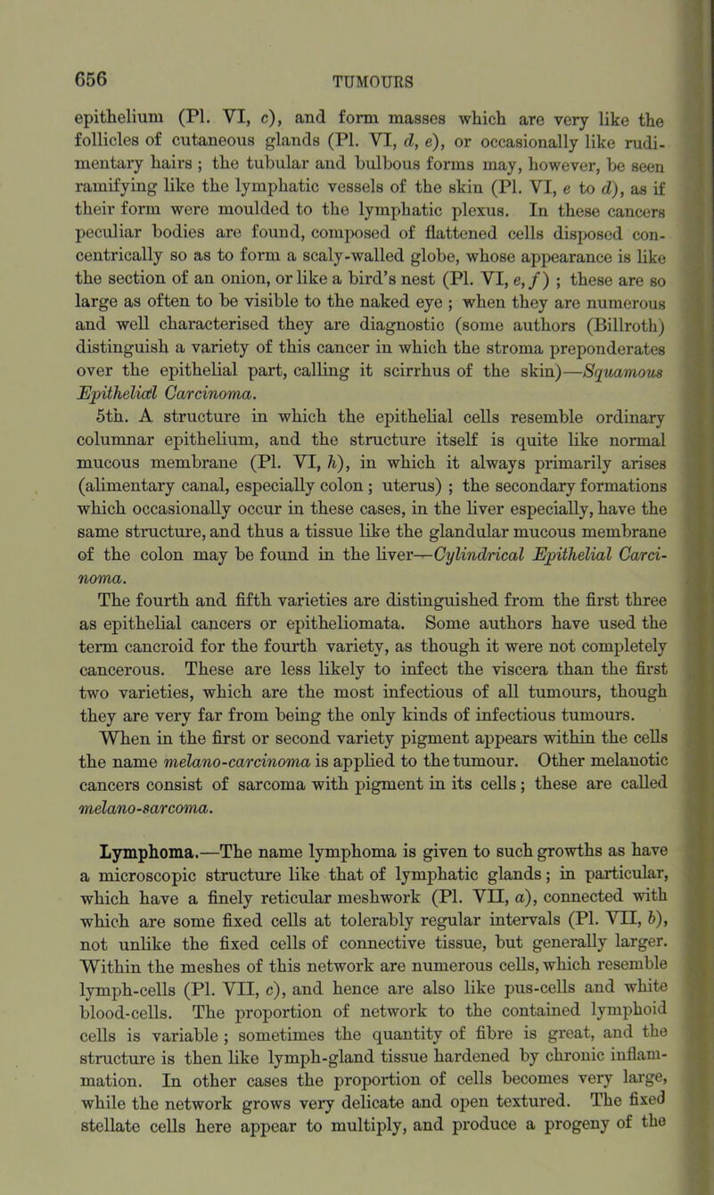 epithelium (PL VI, c), and form masses which are very like the follicles of cutaneous glands (PI. VI, d, e), or occasionally like rudi- mentary hairs ; the tubular and bulbous forms may, however, be seen ramifying like the lymphatic vessels of the skin (PI. VI, e to d), as if their form were moulded to the lymphatic plexus. In these cancers 1 peculiar bodies are found, composed of flattened cells disposed con- 1 centrically so as to form a scaly-walled globe, whose appearance is like i the section of an onion, or like a bird’s nest (PI. VI, e,/) ; these are so ^ large as often to be visible to the naked eye ; when they are numerous * and well characterised they are diagnostic (some authors (Billroth) f distinguish a variety of this cancer in which the stroma preponderates I over the epithelial part, calling it scirrhus of the skin)—Squamous S Epithelial Carcinoma. 5th. A structure in which the epithelial cells resemble ordinary columnar epithelium, and the structure itself is quite like normal ! mucous membrane (PL VI, h), in which it always primarily arises (alimentary canal, especially colon; uterus) ; the secondary formations ' which occasionally occur in these cases, in the liver especially, have the ' same structure, and thus a tissue like the glandular mucous membrane ‘■- of the colon may be found in the Yi.yex-^Cylindrical Epithelial Carci- noma. The fourth and fifth varieties are distinguished from the first three as epithelial cancers or epitheliomata. Some authors have used the '■ term cancroid for the fourth variety, as though it were not completely cancerous. These are less likely to infect the viscera than the first two varieties, which are the most infectious of all tumours, though they are very far from being the only kinds of infectious tumours. ^ When in the first or second variety pigment appears within the cells the name melano-carcinoma is applied to the tumour. Other melanotic cancers consist of sarcoma with pigment in its cells; these are called ; melano-sarcoma. \ Lymphoma.—The name lymphoma is given to such growths as have a microscopic structure like that of lymphatic glands; in particular, ; which have a finely reticular meshwork (PL VH, a), connected with , which are some fixed cells at tolerably regular intervals (PL VTE, h), 'j| not unlike the fixed cells of connective tissue, but generally larger. Within the meshes of this network are numerous cells, which resemble J lymph-cells (PL VII, c), and hence are also like pus-cells and white j blood-cells. The proportion of network to the contained lymphoid f cells is variable ; sometimes the quantity of fibre is great, and the .f structure is then like lymph-gland tissue hardened by chronic inflam- 1 mation. In other cases the proportion of cells becomes very large, I while the network grows very delicate and open textured. The fixed ? stellate cells here appear to multiply, and produce a progeny of the