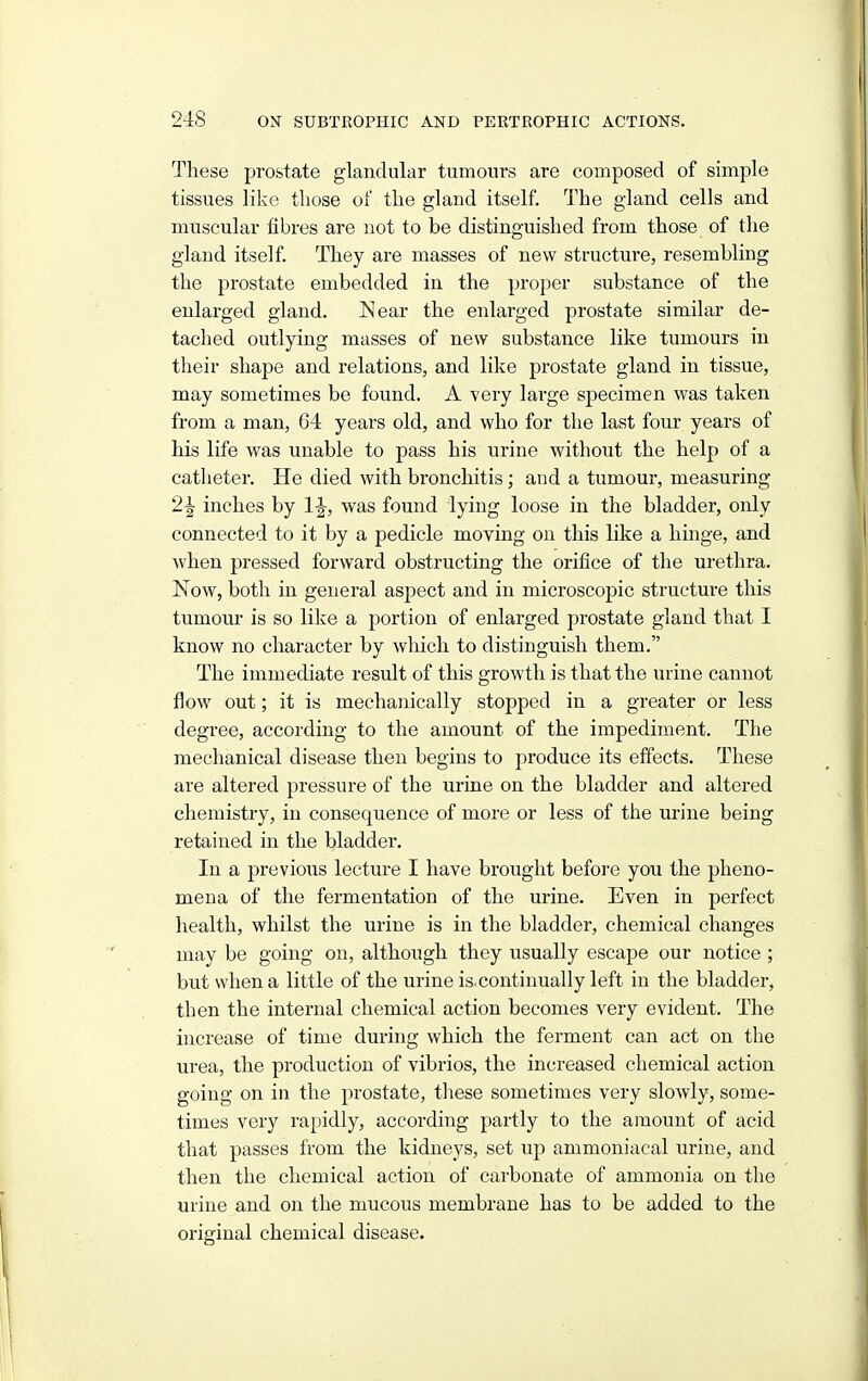 These prostate glandular tumours are composed of simple tissues like those of the gland itself. The gland cells and muscular fibres are not to be distinguished from those of the gland itself. They are masses of new structure, resembling the prostate embedded in the proper substance of the enlarged gland. Near the enlarged prostate similar de- tached outlying masses of new substance like tumours in their shape and relations, and like prostate gland in tissue, may sometimes be found. A very large specimen was taken from a man, 64 years old, and who for the last four years of his life was unable to pass his urine without the help of a catheter. He died with bronchitis; and a tumour, measuring 2^ inches by 1^, was found lying loose in the bladder, only connected to it by a pedicle moving on this like a hmge, and when pressed forward obstructing the orifice of the urethra. Now, both in general aspect and in microscopic structure this tumour is so like a portion of enlarged prostate gland that I know no character by which to distinguish them. The immediate result of this growth is that the urine cannot flow out; it is mechanically stopped in a greater or less degree, according to the amount of the impediment. The mechanical disease then begins to produce its effects. These are altered pressure of the urine on the bladder and altered chemistry, in consequence of more or less of the urine being retained in the bladder. In a previous lecture I have brought before you the pheno- mena of the fermentation of the urine. Even in perfect health, whilst the urine is in the bladder, chemical changes may be going on, although they usually escape our notice ; but when a little of the urine is. continually left in the bladder, then the internal chemical action becomes very evident. The increase of time during which the ferment can act on the urea, the production of vibrios, the increased chemical action going on in the prostate, these sometimes very slowly, some- times very rapidly, according partly to the amount of acid that passes from the kidneys, set up ammoniacal urine, and then the chemical action of carbonate of ammonia on the urine and on the mucous membrane has to be added to the original chemical disease.