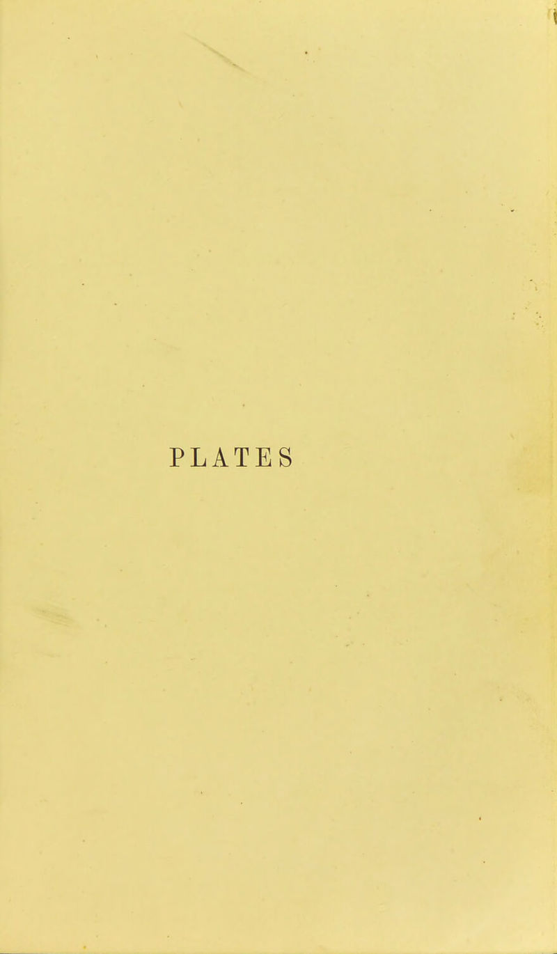 i PLATES