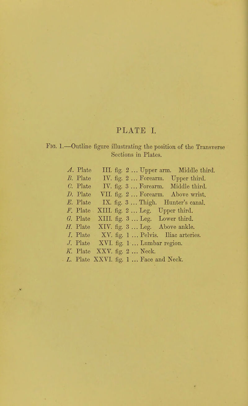 Fig. 1.—Outline figure illustrating the position of the Transverse Sections in Plates. A. Plate III. fig. 2 ... Upper arm. Middle third. B. Plate IV. fig. 2 ... Forearm. Upper third. C. Plate IV. fig. 3 ... Forearm. Middle third. D. Plate VII. fig. 2 ... Forearm. Above wrist. E. Plate IX. fig. 3 ... Thigh. Hunter's canal. F. Plate XIII. fig. 2 ... Leg. Upper third. Q. Plate XIII. fig. 3 ... Leg. Lower third. H. Plate XIV. fig. 3 ... Leg. Above ankle. /. Plate XV. fig. 1 ... Pelvis. Iliac arteries. /. Plate XVI. fig. 1 ... Lumbar region. K. Plate XXV. fig. 2 ... Neck. L. Plate XXVL fig. 1 ... Face and Neck.