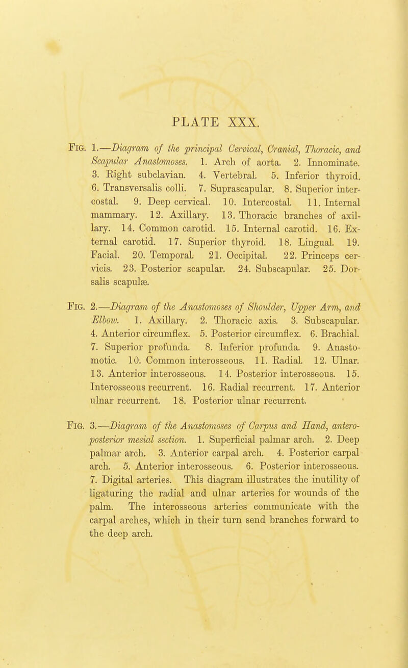 Fig. 1.—Diagram of the principal Cervical, Cranial, TJioracic, and Scapular Anastomoses. 1. Arch of aorta. 2. Innominate. 3. Right subclavian. 4. Vertebral. 5. Inferior thyroid. 6. Transversalis colli. 7. Suprascapular. 8. Superior inter- costal. 9. Deep cervical. 10. Intercostal. 11. Internal mammary. 12. Axillary. 13. Thoracic branches of axil- lary. 14. Common carotid. 15. Internal carotid. 16. Ex- ternal carotid. 17. Superior thyroid. 18. Lingual. 19. Facial. 20. Temporal. 21. Occipital. 22. Princeps cer- vicis. 23. Posterior scapular. 24. Subscapular. 25. Dor- salis scapulae. Fig. 2.—Diagram of the Anastomoses of Shoulder, Upper Arm, and Elbow. 1. Axillary. 2. Thoracic axis. 3. Subscapular. 4. Anterior circumflex. 5. Posterior circumflex. 6. Brachial. 7. Superior profunda. 8. Inferior profunda. 9. Anasto- motic. 10. Common interosseous. 11. Radial. 12. Ulnar. 13. Anterior interosseous. 14. Posterior interosseous. 15. Interosseous recurrent. 16. Radial recurrent. 17. Anterior ulnar recurrent. 18. Posterior ulnar recurrent. Fig. 3.—Diagram of the Anastomoses of Carpus and Hand, antero- posterior mesial section. 1. Superficial palmar arch. 2. Deep palmar arch. 3. Anterior carpal arch. 4. Posterior carpal arch. 5. Anterior interosseous. 6. Posterior interosseous. 7. Digital arteries. This diagram illustrates the inutility of ligaturing the radial and ulnar arteries for wounds of the palm. The interosseous arteries communicate with the carpal arches, which in their turn send branches forward to the deep arch.