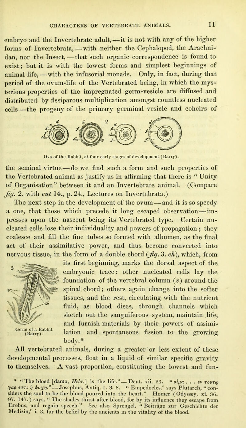 embryo and the Invertebrate adult,—it is not with any of the higher forms of Invertebrata,—with neither the Cephalopod, the Arachni- dan, nor the Insect,—tliat such organic correspondence is found to exist; but it is with the lowest forms and simplest beginnings of animal life, — with the infusorial monads. Only, in fact, during that period of the ovum-life of the Vertebrated being, in which the mys- terious properties of the impregnated germ-vesicle are diffused and distributed by fissiparous multiplication amongst countless nucleated cells—the progeny of the primary germinal vesicle and coheirs of Ova of the Rabbit, at four early stages of development (Barry). the seminal virtue—do we find such a form and such properties of the Vertebrated animal as justify us in affirming that there is “ Unity of Organisation” between it and an Invertebrate animal. (Compare Jiff. 2. with cui 14., p. 24., Lectures on Invertebrata.) The next step in the development of the ovum—and it is so speedy a one, that those which precede it long escaped observation—im- presses upon the nascent being its Vertebrated type. Cei'tain nu- cleated cells lose their individuality and powers of propagation ; they coalesce and fill the fine tubes so foi’med with albumen, as the final act of their assimilative power, and thus become converted into nervous tissue, in the form of a double chord 3. c/i), which, from its first beginning, marks the dorsal aspect of the embryonic trace: other nucleated cells lay the foundation of the vertebral column (u) around the spinal chord; others again change into the softer tissues, and the rest, circulating with the nutrient fluid, as blood discs, through channels which sketch out the sanguiferous system, maintain life, and furnish materials by their powers of assimi- lation and spontaneous fission to the growing body. * All vertebrated animals, during a greater or less extent of these developmental processes, float in a liquid of similar specific gravity to themselves. A vast proportion, constituting the lowest and fun- * “The blood [damo, Hebr.'\ is the life.”—Dcut. xii. 23. ai/xa . . . ev tovtc^ yap €(TTi 7; \livxv- — Josephus, Antiq. I. 3. 8. “ Empedocles,” says Plutarch, “con- siders the soul to be the blood poured into the heart.” Homer (Odyssey, xi. 36. 97. 147.) says, “ The shades thirst after blood, for by its influence they escape from Erebus, and regain speech.” See also Sprengel, “ Beitrage zur Gcscbichte der Medizin,” i. 3. for the belief by the ancients in the vitality of the blood.