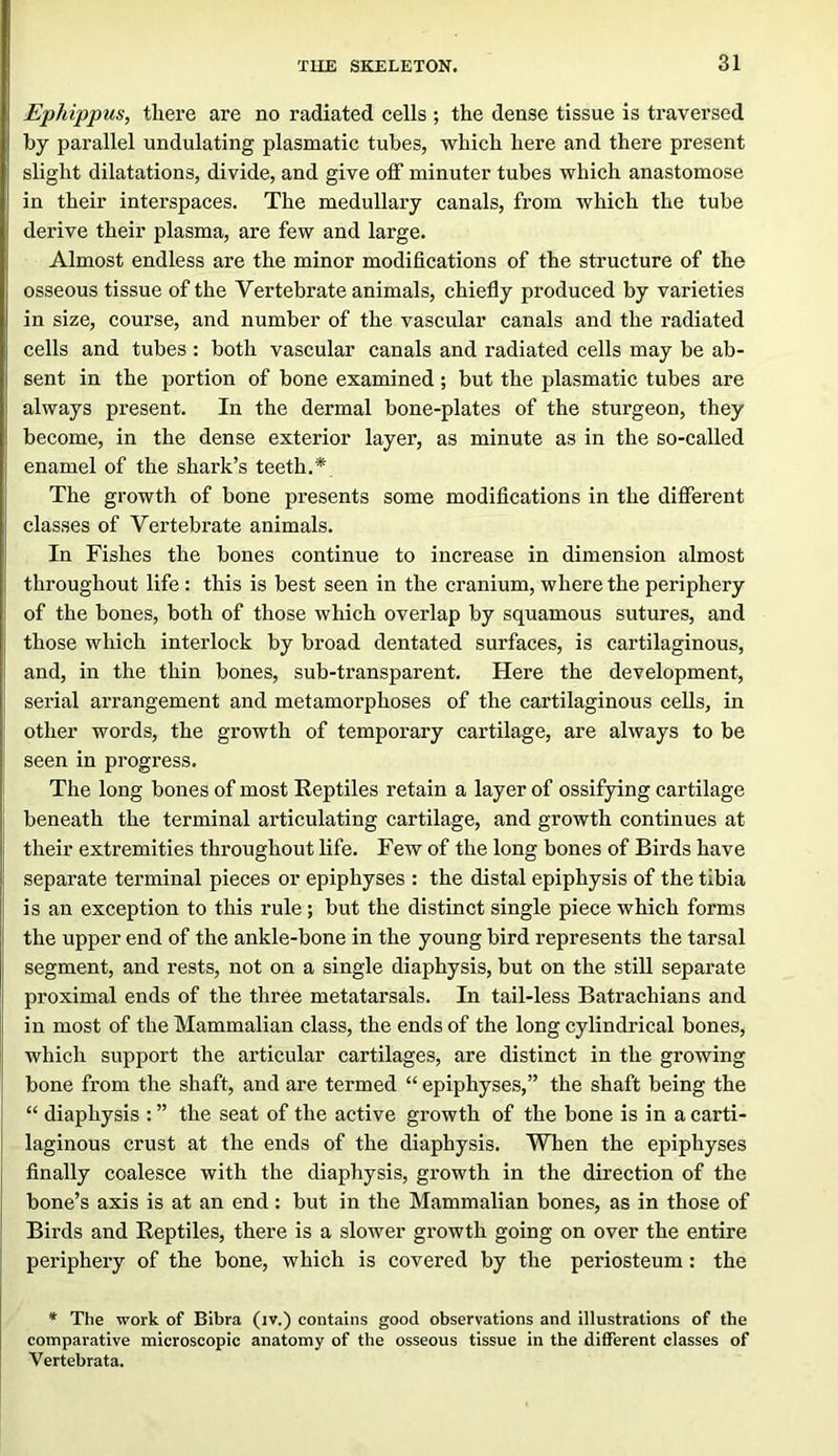 Ephippus, tliere are no radiated cells ; the dense tissue is traversed by parallel undulating plasmatic tubes, which here and there present slight dilatations, divide, and give off minuter tubes which anastomose in their interspaces. The medullary canals, from which the tube derive their plasma, are few and large. Almost endless are the minor modifications of the structure of the osseous tissue of the Vertebrate animals, chiefly produced by varieties in size, course, and number of the vascular canals and the radiated cells and tubes : both vascular canals and radiated cells may be ab- sent in the portion of bone examined ; but the plasmatic tubes are always present. In the dermal bone-plates of the sturgeon, they become, in the dense exterior layer, as minute as in the so-called enamel of the shark’s teeth.* The growth of bone presents some modiflcations in the different classes of Vertebrate animals. In Fishes the bones continue to increase in dimension almost throughout life: this is best seen in the cranium, where the periphery of the bones, both of those which overlap by squamous sutures, and those which interlock by broad dentated surfaces, is cartilaginous, and, in the thin bones, sub-transparent. Here the development, serial arrangement and metamorphoses of the cartilaginous cells, in other words, the growth of temporary cartilage, are always to be seen in progress. I The long bones of most Reptiles retain a layer of ossifying cartilage beneath the terminal articulating cartilage, and growth continues at their extremities throughout life. Few of the long bones of Birds have separate terminal pieces or epiphyses : the distal epiphysis of the tibia is an exception to this rule ; but the distinct single piece which forms the upper end of the ankle-bone in the young bird represents the tarsal segment, and rests, not on a single diaphysis, but on the still separate proximal ends of the three metatarsals. In tail-less Batrachians and in most of the Mammalian class, the ends of the long cylindrical bones, which support the articular cartilages, are distinct in the growing bone from the shaft, and are termed “ epiphyses,” the shaft being the “ diaphysis : ” the seat of the active growth of the bone is in a carti- I laginous crust at the ends of the diaphysis. When the epiphyses finally coalesce with the diaphysis, growth in the direction of the bone’s axis is at an end: but in the Mammalian bones, as in those of Birds and Reptiles, there is a slower growth going on over the entire periphery of the bone, which is covered by the periosteum: the * The work of Bibra (iv.) contains good observations and illustrations of the comparative microscopic anatomy of the osseous tissue in the different classes of Vertebrata.