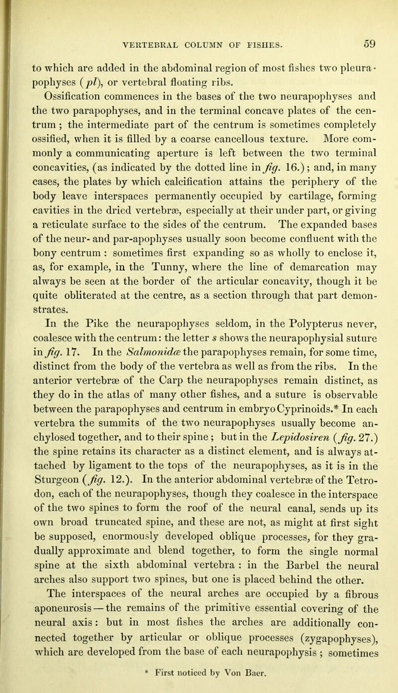 to which are added in the abdominal region of most fishes two pleura- pophyses {pi), or vertebral floating ribs. Ossification commences in the bases of the two neurapophyses and the two parapophyses, and in the terminal concave plates of the cen- trum ; the intermediate part of the centrum is sometimes completely ossified, when it is filled by a coarse cancellous texture. More com- monly a communicating aperture is left between the two terminal concavities, (as indicated by the dotted line in Jig. 16.) ; and, in many cases, the plates by which calcification attains the periphery of the body leave interspaces permanently occupied by cartilage, forming cavities in the dried vertebrae, especially at their under part, or giving a reticulate surface to the sides of the centrum. The expanded bases of the neur- and par-apophyses usually soon become confluent with the bony centrum : sometimes first expanding so as wholly to enclose it, as, for example, in the Tunny, where the line of demarcation may always be seen at the border of the articular concavity, though it be quite obliterated at the centre, as a section through that part demon- strates. In the Pike the neurapophyses seldom, in the Polypterus never, coalesce with the centrum: the letter s shows the neurapophysial suture in Jig. 17. In the Salmonida; the parapophyses remain, for some time, distinct from the body of the vertebra as well as from the ribs. In the anterior vertebrae of the Carp the neurapophyses remain distinct, as they do in the atlas of many other fishes, and a suture is observable between the parapophyses and centrum in embryo Cyprinoids.* In each vertebra the summits of the two neurapophyses usually become an- chylosed together, and to their spine ; but in the Lepidosiren {Jig. 27.) the spine retains its character as a distinct element, and is always at- tached by ligament to the tops of the neurapophyses, as it is in the Sturgeon {Jig. 12.). In the anterior abdominal vertebrje of the Tetro- don, each of the neurapophyses, though they coalesce in the interspace of the two spines to form the roof of the neural canal, sends up its own broad truncated spine, and these are not, as might at first sight be supposed, enormously developed oblique processes, for they gra- dually approximate and blend together, to form the single normal spine at the sixth abdominal vertebra : in the Barbel the neural arches also support two spines, but one is placed behind the other. The interspaces of the neural arches are occupied by a fibrous aponeurosis — the remains of the primitive essential covering of the neui’al axis: but in most fishes the arches are additionally con- nected together by articular or oblique processes (zygapophyses), which are developed from the base of each neurapophysis ; sometimes First noticed by Von Baer.