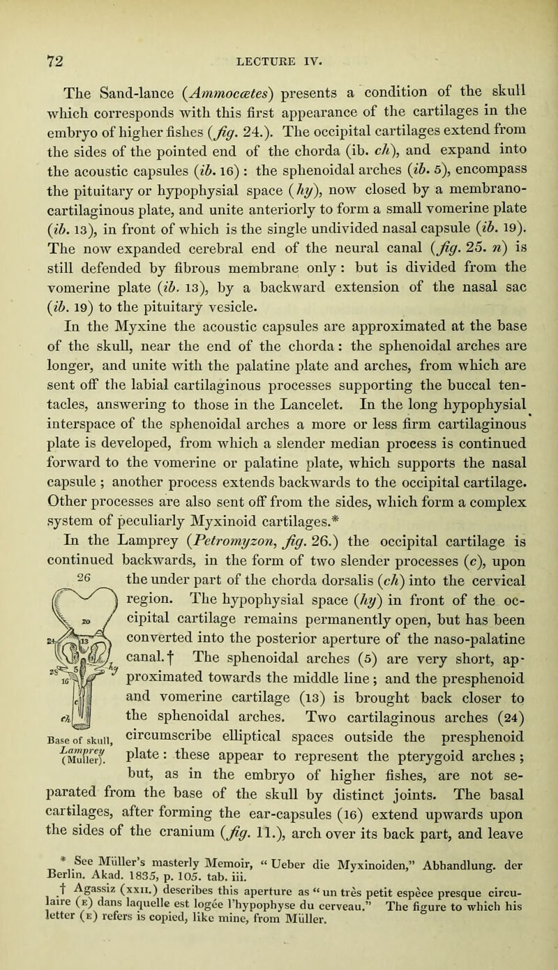 The Sand-lance {^Ammoccetes) presents a condition of the skull which corresponds with this first appearance of the cartilages in the embryo of higher fishes (yfig. 24.). The occipital cartilages extend from the sides of the pointed end of the chorda (ib. ch\ and expand into the acoustic capsules {ih. 16) : the sphenoidal arches {ih. s), encompass the pituitary or hypophysial space (hy\ now closed by a membrano- cartilaginous plate, and unite anteriorly to form a small vomerine plate (ih. 13), in front of which is the single undivided nasal capsule (ib. 19). The now expanded cerebral end of the neural canal (fig. 25. n) is still defended by fibrous membrane only: but is divided from the vomerine plate (ih- 13), by a backward extension of the nasal sac (ih. 19) to the pituitary vesicle. In the Myxine the acoustic capsules are approximated at the base of the skull, near the end of the chorda: the sphenoidal arches are longer, and unite with the palatine plate and arches, from which are sent off the labial cartilaginous processes supporting the buccal ten- tacles, answering to those in the Lancelot. In the long hypophysial interspace of the sphenoidal arches a more or less firm cartilaginous plate is developed, from which a slender median process is continued forward to the vomerine or palatine plate, which supports the nasal capsule ; another process extends backwards to the occipital cartilage. Other processes are also sent off from the sides, which form a complex system of peculiarly Myxinoid cartilages.* In the Lamprey (Petromyzon, fig. 26.) the occipital cartilage is continued backwards, in the form of two slender processes (c), upon the under part of the chorda dorsalis (c/i) into the cervical region. The hypophysial space (%) in front of the oc- cipital cartilage remains permanently open, but has been converted into the posterior aperture of the naso-palatine canal.f The sphenoidal arches (5) are very short, ap- proximated towards the middle line; and the presphenoid and vomerine cartilage (13) is brought back closer to the sphenoidal arches. Two cartilaginous arches (24) circumscribe elliptical spaces outside the presphenoid plate: these appear to represent the pterygoid arches ; but, as in the embryo of higher fishes, are not se- parated from the base of the skull by distinct joints. The basal cartilages, after forming the ear-capsules (le) extend upwards upon the sides of the cranium (fig. 11.), arch over its back part, and leave Base of skull, Lamprey (Muller). * See Muller s masterly Memoir, “ Ueber die Myxinoiden,*’ Abbandlunff. der Berlin. Akad. 1835, p. 105. tab. iii. t Agassiz (xxn.) describes this aperture as “un tres petit espece presque eircu- laire (e) dans laquelle est logee I’hypophyse du cerveau,” The figure to which his letter (e) refers is copied, like mine, from Muller.