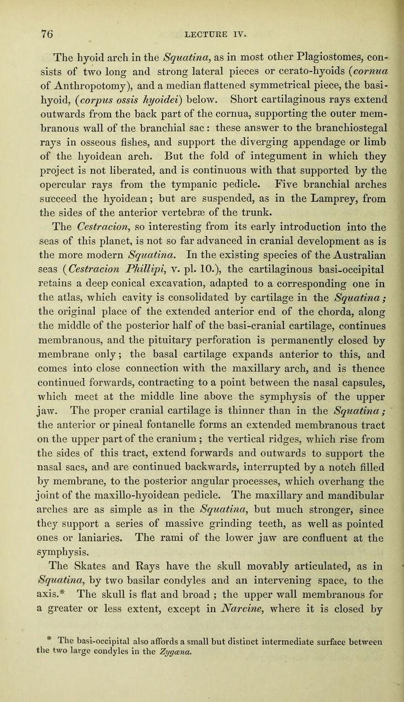 Tlie hyoid arch in the Squatina, as in most other Plagiostomes, con- sists of two long and strong lateral pieces or cerato-hyoids {cornua of Anthropotomy), and a median flattened symmetrical piece, the basi- hyoid, {corpus ossis hyoidei) below. Short cartilaginous rays extend outwards from the back part of the cornua, supporting the outer mem- branous wall of the branchial sac : these answer to the branchiostegal rays in osseous fishes, and support the diverging appendage or limb of the hyoidean arch. But the fold of integument in which they project is not liberated, and is continuous with that supported by the opercular rays from the tympanic pedicle. Five branchial arches succeed the hyoidean; but are suspended, as in the Lamprey, from the sides of the anterior vertebrae of the trunk. The Cestracion, so interesting from its early introduction into the seas of this planet, is not so far advanced in cranial development as is the more modern Squatina. In the existing species of the Australian seas {Cestracion Phillipi, v. pi. 10.), the cartilaginous basi-occipital retains a deep conical excavation, adapted to a corresponding one in the atlas, which cavity is consolidated by cartilage in the Squatina; the original place of the extended anterior end of the chorda, along the middle of the posterior half of the basi-cranial cartilage, continues membranous, and the pituitary perforation is permanently closed by membrane only; the basal cartilage expands anterior to this, and comes into close connection with the maxillary arch, and is thence continued forwards, contracting to a point between the nasal capsules, which meet at the middle line above the symphysis of the upper jaw. The proper cranial cartilage is thinner than in the Squatina; the anterior or pineal fontanelle forms an extended membranous tract on the upper part of the cranium ; the vertical ridges, which rise from the sides of this tract, extend forwards and outwards to support the nasal sacs, and are continued backwards, interrupted by a notch filled by membrane, to the posterior angular processes, which overhang the joint of the maxiUo-hyoidean pedicle. The maxillary and mandibular arches are as simple as in the Squatina, but much stronger, since they support a series of massive grinding teeth, as well as pointed ones or laniaries. The rami of the lower jaw are confluent at the symphysis. The Skates and Rays have the skull movably articulated, as in Squatina, by two basilar condyles and an intervening space, to the axis.* The skull is flat and broad ; the upper wall membranous for a greater or less extent, except in Narcine, where it is closed by * The basi-occipital also affords a small but distinct intermediate surface between the two large condyles in the Zygmna.