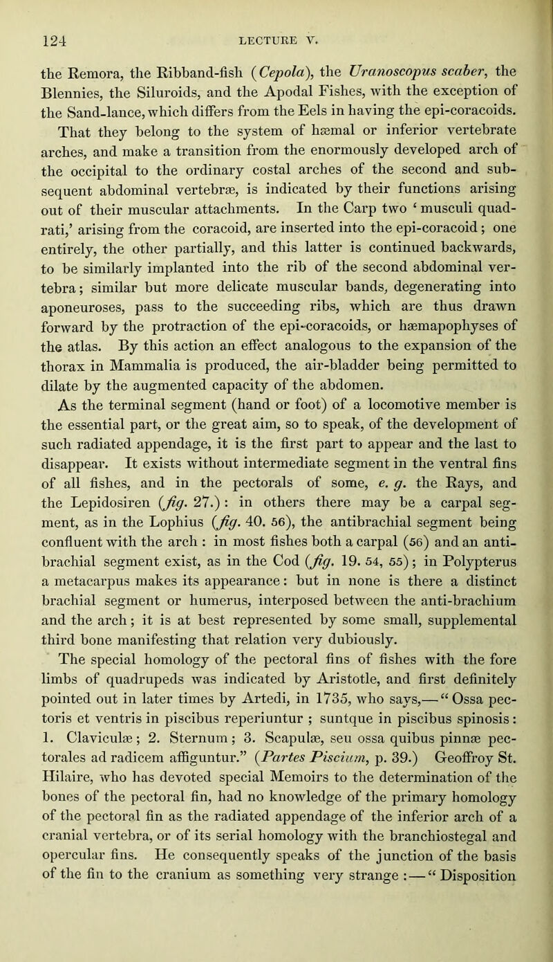 the Remora, the Ribhand-fish {Cepola), the Uranoscopus scaber, the Blennies, the Siluroids, and the Apodal Fishes, with the exception of the Sand-lance, which differs from the Eels in having the epi-coracoids. That they belong to the system of hsemal or inferior vertebrate arches, and make a transition from the enormously developed arch of the occipital to the ordinary costal arches of the second and sub- sequent abdominal vertebrse, is indicated by their functions arising out of their muscular attachments. In the Carp two ‘ musculi quad- rat!,’ arising from the coracoid, are inserted into the epi-coracoid; one entirely, the other partially, and this latter is continued backwards, to be similai’ly implanted into the rib of the second abdominal ver- tebra; similar but more delicate muscular bands, degenerating into aponeuroses, pass to the succeeding ribs, which are thus drawn forward by the protraction of the epi-coracoids, or haemapophyses of the atlas. By this action an effect analogous to the expansion of the thorax in Mammalia is produced, the air-bladder being permitted to dilate by the augmented capacity of the abdomen. As the terminal segment (hand or foot) of a locomotive member is the essential part, or the great aim, so to speak, of the development of such radiated appendage, it is the first part to appear and the last to disappear. It exists without intermediate segment in the ventral fins of all fishes, and in the pectorals of some, e. g. the Rays, and the Lepidosiren {fig- 27.) : in others there may be a carpal seg- ment, as in the Lophius {fig. 40. 56), the antibrachial segment being confluent with the arch : in most fishes both a carpal (56) and an anti- brachial segment exist, as in the Cod {fig. 19. 54, 55) ; in Polypterus a metacarpus makes its appearance: but in none is there a distinct brachial segment or humerus, interposed between the anti-brachium and the arch; it is at best represented by some small, supplemental third bone manifesting that relation very dubiously. The special homology of the pectoral fins of fishes with the fore limbs of quadrupeds was indicated by Aristotle, and first definitely pointed out in later times by Artedi, in 1735, who says,— “ Ossa pec- toris et ventris in piscibus reperiuntur ; suntque in piscibus spinosis: 1. Claviculffi; 2. Sternum; 3. Scapulae, seu ossa quibus pinnae pec- torales ad radicem affiguntur.” {Partes Piscium, p. 39.) Geoffroy St. Hilaire, who has devoted special Memoirs to the determination of the bones of the pectoral fin, had no knowledge of the primary homology of the pectoral fin as the radiated appendage of the inferior arch of a cranial vertebra, or of its serial homology with the branchiostegal and opercular fins. He consequently speaks of the junction of the basis of the fin to the cranium as something very strange :—“ Disposition