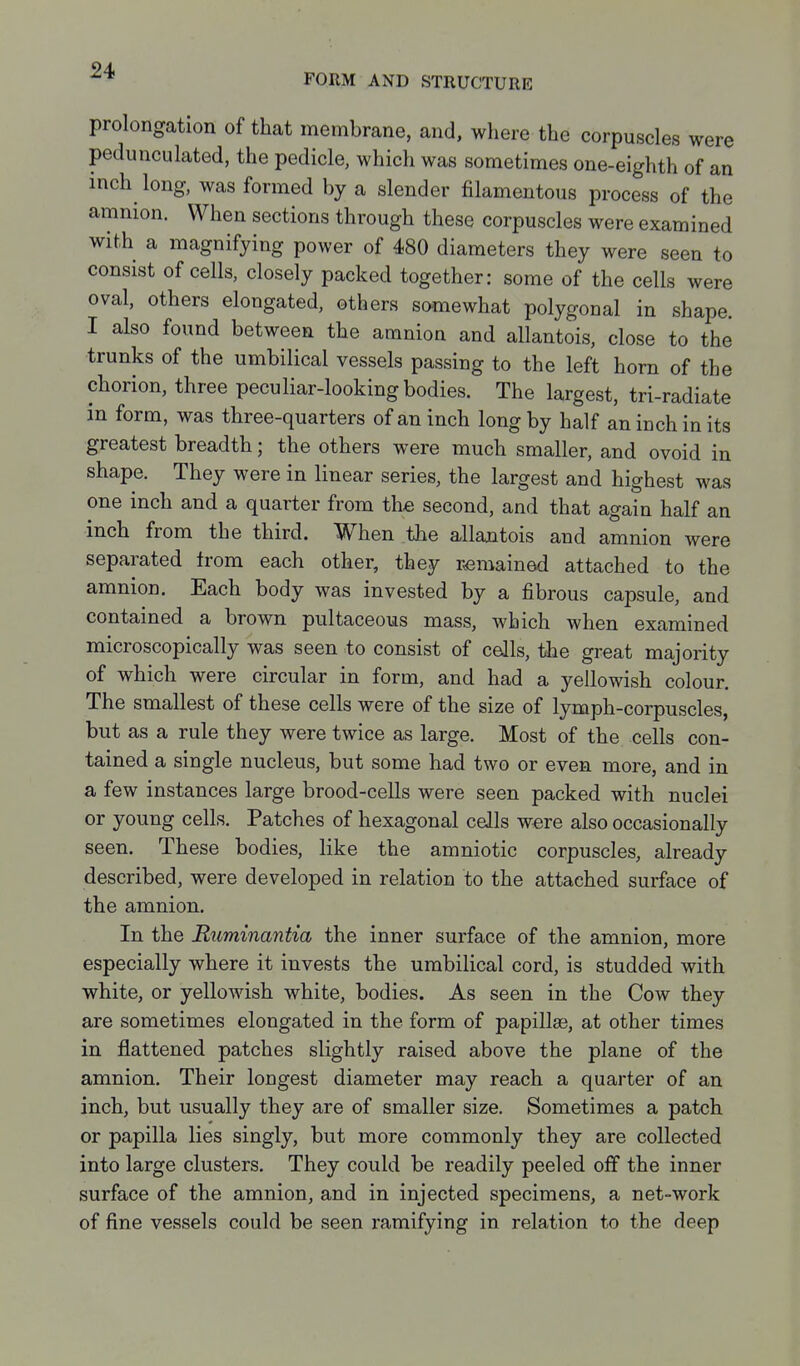 FORM AND STRUCTURE prolongation of that membrane, and, where the corpuscles were pedunculated, the pedicle, which was sometimes one-eighth of an inch long, was formed by a slender filamentous process of the amnion. When sections through these corpuscles were examined with a magnifying power of 480 diameters they were seen to consist of cells, closely packed together: some of the cells were oval, others elongated, others somewhat polygonal in shape. I also found between the amnion and allantois, close to the trunks of the umbilical vessels passing to the left horn of the chorion, three peculiar-looking bodies. The largest, tri-radiate in form, was three-quarters of an inch long by half an inch in its greatest breadth; the others were much smaller, and ovoid in shape. They were in linear series, the largest and highest was one inch and a quarter from the second, and that again half an inch from the third. When the allantois and amnion were separated from each other, they remained attached to the amnion. Each body was invested by a fibrous capsule, and contained a brown pultaceous mass, which when examined microscopically was seen to consist of cells, tlie great majority of which were circular in form, and had a yellowish colour. The smallest of these cells were of the size of lymph-corpuscles, but as a rule they were twice as large. Most of the cells con- tained a single nucleus, but some had two or even more, and in a few instances large brood-cells were seen packed with nuclei or young cells. Patches of hexagonal cells were also occasionally seen. These bodies, like the amniotic corpuscles, already described, were developed in relation to the attached surface of the amnion. In the Ruminantia the inner surface of the amnion, more especially where it invests the umbilical cord, is studded with white, or yellowish white, bodies. As seen in the Cow they are sometimes elongated in the form of papillas, at other times in flattened patches slightly raised above the plane of the amnion. Their longest diameter may reach a quarter of an inch, but usually they are of smaller size. Sometimes a patch or papilla lies singly, but more commonly they are collected into large clusters. They could be readily peeled off the inner surface of the amnion, and in injected specimens, a net-work of fine vessels could be seen ramifying in relation to the deep