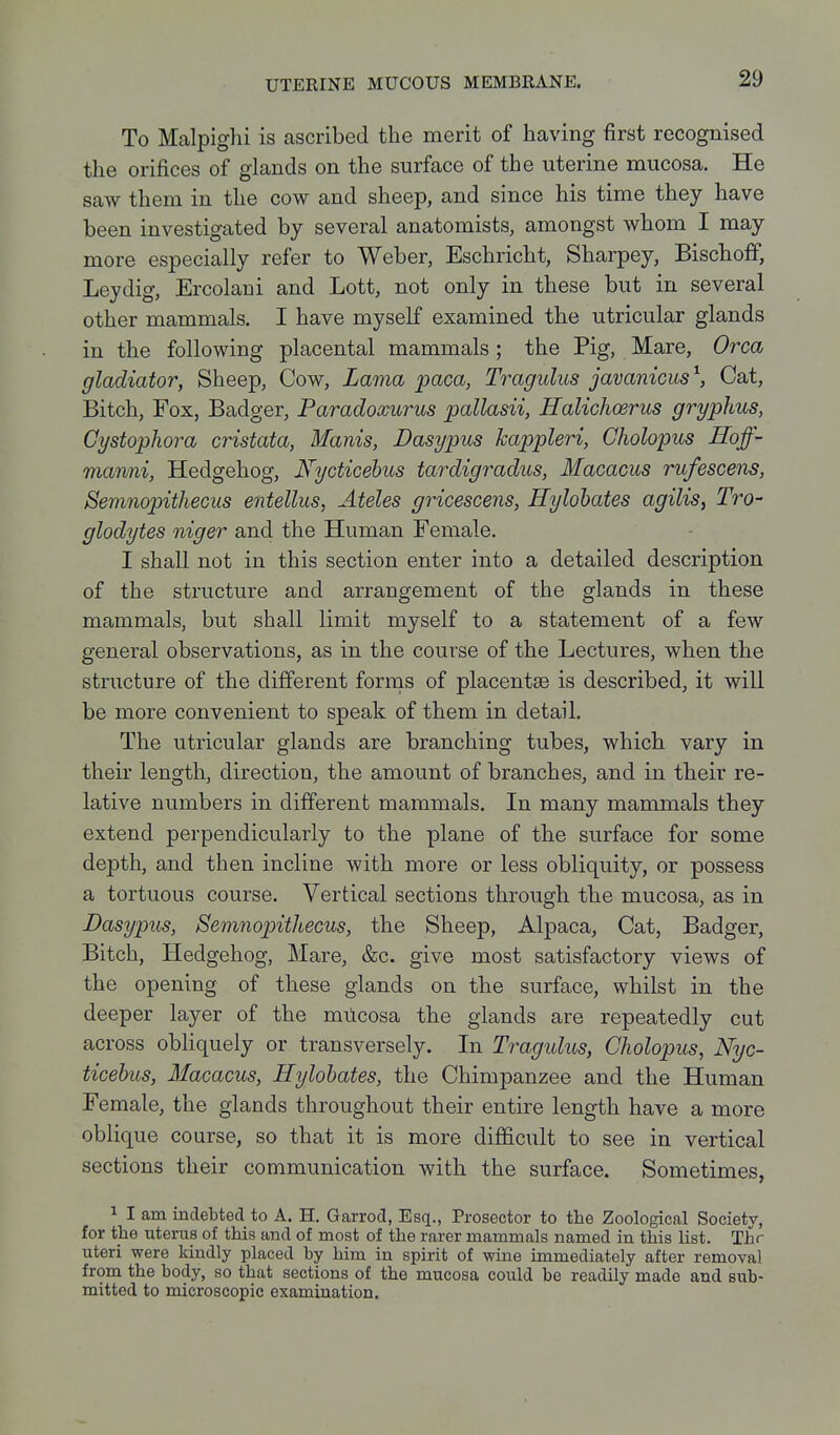 To Malpighi is ascribed the merit of having first recognised the orifices of glands on the surface of the uterine mucosa. He saw them in the cow and sheep, and since his time they have been investigated by several anatomists, amongst whom I may more especially refer to Weber, Eschricht, Sharpey, BischofiP, Leydig, Ercolani and Lett, not only in these but in several other mammals. I have myself examined the utricular glands in the following placental mammals ; the Pig, Mare, Orca gladiator, Sheep, Cow, Lama paca, Tragulus javaniciis^, Cat, Bitch, Fox, Badger, Paradoxurus pallasii, Halichcerus gryphus, Cystophora cristata, Manis, Dasypus kappleri, Cholopus Hoff- manni, Hedgehog, Nycticebus tardigradus, Macacus rufescens, Semnopithecus entellus, Ateles gricescens, Hylohates agilis, Tro- glodytes niger and the Human Female. I shall not in this section enter into a detailed description of the structure and arrangement of the glands in these mammals, but shall limit myself to a statement of a few general observations, as in the course of the Lectures, when the structure of the different forms of placentae is described, it will be more convenient to speak of them in detail. The utricular glands are branching tubes, which vary in their length, direction, the amount of branches, and in their re- lative numbers in different mammals. In many mammals they extend perpendicularly to the plane of the surface for some depth, and then incline with more or less obliquity, or possess a tortuous course. Vertical sections through the mucosa, as in Dasypus, Semnopithecus, the Sheep, Alpaca, Cat, Badger, Bitch, Hedgehog, Mare, &c. give most satisfactory views of the opening of these glands on the surface, whilst in the deeper layer of the mucosa the glands are repeatedly cut across obliquely or transversely. In Tragulus, Cholopus, Nyc- ticebus, Macacus, Hylohates, the Chimpanzee and the Human Female, the glands throughout their entire length have a more oblique course, so that it is more diflficult to see in vertical sections their communication with the surface. Sometimes, 1 I am indebted to A. H. Garrod, Esq., Prosector to the Zoological Society, for the uterus of this and of most of the rarer mammals named in this list. Thr uteri were kindly placed by him in spirit of wine immediately after removal from the body, so that sections of the mucosa could be readily made and sub- mitted to microscopic examination.