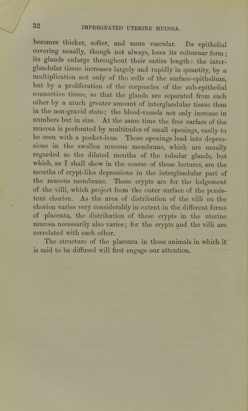 IMPREGNATED UTERINE MUCOSA. becomes thicker, softer, and more vascular. Its epithelial covering usually, though not always, loses its columnar form; its glands enlarge throughout their entire length: the inter- glandular tissue increases largely and rapidly in quantity, by a multiplication not only of the cells of the surface-epithelium, but by a proliferation of the corpuscles of the sub-epithelial connective tissue, so that the glands are separated from each other by a much greater amount of interglandular tissue than in the non-gravid state; the blood-vessels not only increase in numbers but in size. At the same time the free surface of the mucosa is perforated by multitudes, of small openings, easily to be seen with a pocket-lens. Those openings lead into depres- sions in the swollen mucous membrane, which are usually regarded as the dilated mouths of the tubular glands, but which, as I shall show in the course of these' lectures, are the mouths of crypt-like depressions in the interglandular part of the mucous membrane. These crypts are for the lodgement of the villi, which project from the outer surface of the persis- tent chorion. As the area of distribution of the villi on the chorion varies very considerably in extent in the different forms of placenta, the distribution of these crypts in the uterine mucosa necessarily also varies; for the crypts and the villi are correlated with each other. The structure of the placenta in those animals in which it is said to be diffused will first engage our attention.