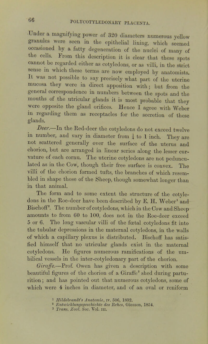 Under a magnifying power of 320 diameters numerous yellow granules were seen in the epithelial lining, which seemed occasioned by a fatty degeneration of the nuclei of many of the cells. From this description it is clear that these spots cannot be regarded either as cotyledons, or as villi, in the strict sense in which these terms are now employed by anatomists. It was not possible to say precisely what part of the uterine mucosa they were in direct apposition with; but from the general correspondence in numbers between the spots and the mouths of the utricular glands it is most probable that they were opposite the gland orifices. Hence I agree with Weber in regarding them as receptacles for the secretion of these glands. Deer.—In the Red-deer the cotyledons do not exceed twelve in number, and vary in diameter from i to 1 inch. They are not scattered generally over the surface of the uterus and chorion, but are arranged in linear series along the lesser cur- vature of each cornu. The uterine cotyledons are not peduncu- lated as in the Cow, though their free surface is convex. The villi of the chorion formed tufts, the branches of which resem- bled in shape those of the Sheep, though somewhat longer than in that animal. The form and to some extent the structure of the cotyle- dons in the Roe-deer have been described by E. H. Weber^ and Bischoffl The number of cotyledons, which in the Cow and Sheep amounts to from 60 to 100, does not in the Roe-deer exceed 5 or 6. The long vascular villi of the foetal cotyledons fit into the tubular depressions in the maternal cotyledons, in the walls of which a capillary plexus is distributed. Bischoff has satis- fied himself that no utricular glands exist in the maternal cotyledons. He figures numerous ramifications of the um- bilical vessels in the inter-cotyledonary part of the chorion. Giraffe.—Prof Owen has given a description with some beautiful figures of the chorion of a Giraffe* shed during partu- rition; and has pointed out that numerous cotyledons, some of which were 4 inches in diameter, and of an oval or reniform ^ Hildebrandt's Anatomie, iv. 506, 1832. ^ Entiuickhingsgeschichte des Itches, Giessen, 1854. 3 Trans. Zool. Soc. Vol. iii.