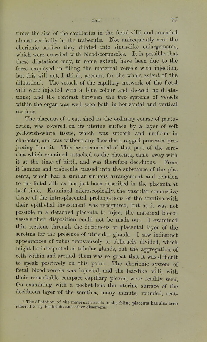 times the size of the capillaries in the fcetal villi, and ascended almost vertically in the trabeculse. Not unfrequently near the chorionic surface they dilated into sinus-like enlargements, which were crowded with blood-corpuscles. It is possible that these dilatations may, to some extent, have been due to the force employed in filling the maternal vessels with injection, but this will not, I think, account for the whole extent of the dilatation^. The vessels of the capillary network of the foetal villi were injected with a blue colour and showed no dilata- tions; and the contrast between the two systems of vessels within the organ was well seen both in horizontal and vertical sections. The placenta of a cat, shed in the ordinary course of partu- rition, was covered, on its uterine surface by a layer of soft yellowish-white tissue, which was smooth and uniform in character, and was without any flocculent, ragged processes pro- jecting from it. This layer consisted of that part of the sero- tina which remained attached to the placenta, came away with it at the time of birth, and was therefore deciduous. From it laminae and trabeculse passed into the substance of the pla- centa, which had a similar sinuous arrangement and relation to the foetal villi as has just been described in the placenta at half time. Examined microscopically, the vascular connective tissue of the intra-placental prolongations of the serotina with their epithelial investment was recognised, but as it was not possible in a detached placenta to inject the maternal blood- vessels their disposition could not be made out. I examined thin sections through the deciduous or placental layer of the serotina for the presence of utricular glands, I saw indistinct appearances of tubes transversely or obliquely divided, which might be interpreted as tubular glands, but the aggregation of cells within and around them was so great that it was difficult to speak positively on this point. The chorionic system of foetal blood-vessels was injected, and the leaf-like villi, with their remarkable compact capillary plexus, were readily seen. On examining with a pocket-lens the uterine surface of the deciduous layer of the serotina, many minute, rounded, scat- 1 The dilatation of the maternal vessels in the feline placenta has also been referred to by Eschricht and other observers.