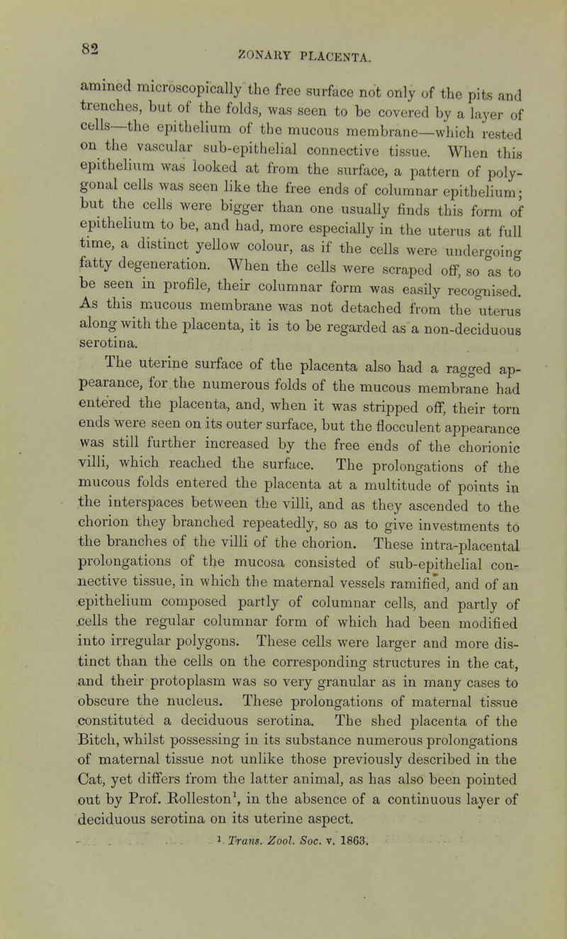 ZONAUY PLACENTA. amined microscopically the free surface not only of the pits and trenches, but of the folds, was seen to be covered by a layer of cells—the epithelium of the mucous membrane—which rested on the vascular sub-epithelial connective tissue. When this epithelium was looked at from the surface, a pattern of poly- gonal cells was seen like the free ends of columnar epithelium; but the cells were bigger than one usually finds this form of epithelium to be, and had, more especially in the uterus at full time, a distinct yellow colour, as if the cells were undergoing fatty degeneration. When the cells were scraped off, so as to be seen in profile, their columnar form was easily recognised. As this mucous membrane was not detached from the uterus along with the placenta, it is to be regarded as a non-deciduous serotina. The uterine surface of the placenta also had a ragged ap- pearance, for the numerous folds of the mucous membrane had entered the placenta, and, when it was stripped off, their torn ends were seen on its outer surface, but the flocculent appearance was still further increased by the free ends of the chorionic villi, which reached the surface. The prolongations of the mucous folds entered the placenta at a multitude of points in .the interspaces between the villi, and as they ascended to the chorion they branched repeatedly, so as to give investments to the branches of the villi of the chorion. These intra-placental prolongations of the mucosa consisted of sub-epithelial con- nective tissue, in which the maternal vessels ramified, and of an epithelium composed partly of columnar cells, and partly of .cells the regular columnar form of which had been modified into irregular polygons. These cells were larger and more dis- tinct than the cells on the corresponding structures in the cat, and their protoplasm was so very granular as in many cases to obscure the nucleus. These prolongations of maternal tissue constituted a deciduous serotina. The shed placenta of the Bitch, whilst possessing in its substance numerous prolongations of maternal tissue not unlike those previously described in the Cat, yet differs from the latter animal, as has also been pointed out by Prof, E,olleston\ in the absence of a continuous layer of deciduous serotina on its uterine aspect. 1. Tram. Zool. Soc. v. 1863.