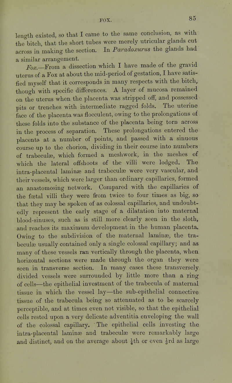 FOX. length existed, so that I came to the same conclusion, as with the\itch, that the short tubes were merely utricular glands cut across in making the section. In Paradoxurus the glands had a similar arrangement. Fox.—Fxom a dissection which I have made of the gravid uterus of a Fox at about the mid-period of gestation, I have satis- fied myself that it corresponds in many respects with the bitch, though with specific differences. A layer of mucosa remained on the uterus when the placenta was stripped off, and possessed pits or trenches with intermediate ragged folds. The uterine face of the placenta was flocculent, owing to the prolongations of these folds into the substance of the placenta being torn across in the process of separation. These prolongations entered the placenta, at a number of points, and passed with a sinuous course up to the chorion, dividing in their course into numbers of trabeculse, which formed a meshwork, in the meshes of which the lateral offshoots of the villi were lodged. The intra-placental laminae and trabeculjB were very vascular, and their vessels, which were larger than ordinary capillaries, formed an anastomosing network. Compared with the capillaries of the foetal villi they were from twice to four times as big, so that they may be spoken of as colossal capillaries, and undoubt- edly represent the early stage of a dilatation into maternal blood-sinuses, such as is still more clearly seen in the sloth, and reaches its maximum development in the human placenta. Owing to the subdivision of the maternal laminae, the tra- beculse usually contained only a single colossal capillary; and as many of these vessels ran vertically through the placenta, when horizontal sections were made through the organ they were seen in transverse section. In many cases these transversely divided vessels were surrounded by little more than a ring of cells—the epithelial investment of the trabecula of maternal tissue in which the vessel lay—the sub-epithelial connective tissue of the trabecula being so attenuated as to be scarcely perceptible, and at times even not visible, so that the epithelial cells rested upon a very delicate adventitia enveloping the wall of the colossal capillary. ' The epithelial cells investing the intra-placental laminae and trabecule were remarkably large and distinct, and on the average about |th or even ^rd as large