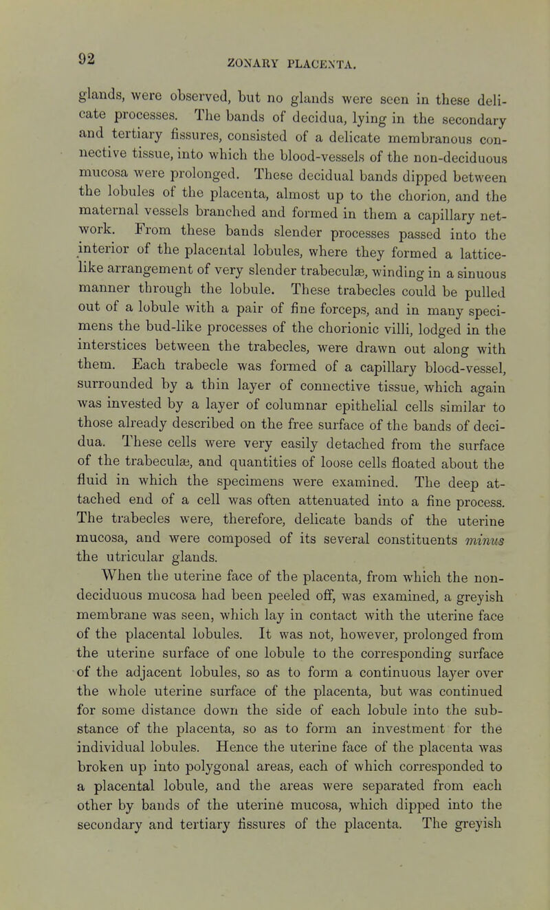 glands, were observed, but no glands were seen in these deli- cate processes. The bands of decidua, lying in the secondary and tertiary fissures, consisted of a delicate membranous con- nective tissue, into which the blood-vessels of the non-deciduous mucosa were prolonged. These decidual bands dipped between the lobules of the placenta, almost up to the chorion, and the maternal vessels branched and formed in them a capillary net- work. From these bands slender processes passed into the interior of the placental lobules, where they formed a lattice- like arrangement of very slender trabecule, winding in a sinuous manner through the lobule. These trabecles could be pulled out of a lobule with a pair of fine forceps, and in many speci- mens the bud-like processes of the chorionic villi, lodged in the interstices between the trabecles, were drawn out along with them. Each trabecle was formed of a capillary blood-vessel, surrounded by a thin layer of connective tissue, which again was invested by a layer of columnar epithelial cells similar to those already described on the free surface of the bands of deci- dua. These cells were very easily detached from the surface of the trabeculaj, and quantities of loose cells floated about the fluid in which the specimens were examined. The deep at- tached end of a cell was often attenuated into a fine process. The trabecles were, therefore, delicate bands of the uterine mucosa, and were composed of its several constituents minns the utricular glands. When the uterine face of the placenta, from which the non- deciduous mucosa had been peeled off, was examined, a greyish membrane was seen, which lay in contact with the uterine face of the placental lobules. It was not, however, prolonged from the uterine surface of one lobule to the corresponding surface of the adjacent lobules, so as to form a continuous layer over the whole uterine surface of the placenta, but was continued for some distance down the side of each lobule into the sub- stance of the placenta, so as to form an investment for the individual lobules. Hence the uterine face of the placenta was broken up into polygonal areas, each of which corresponded to a placental lobule, and the areas were separated from each other by bands of the uterine mucosa, which dipped into the secondary and tertiary fissures of the placenta. The greyish