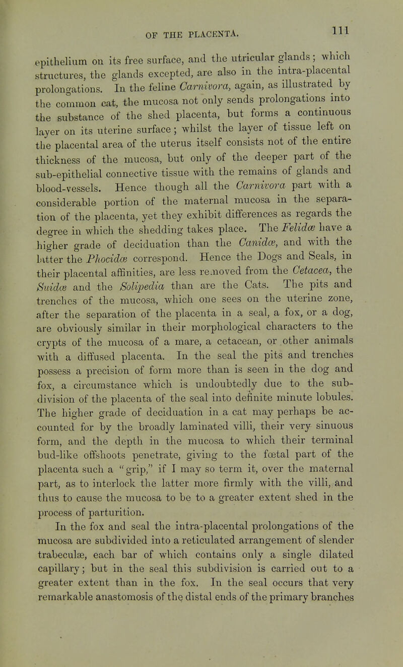 epithelium on its free surface, and tlie utricular glands; which structures, the glands excepted, are also in the intra-placental prolongations. In the feline Carnivora, again, as illustrated by the common cat, the mucosa not only sends prolongations into the substance of the shed placenta, but forms a continuous layer on its uterine surface; whilst the layer of tissue left on the placental area of the uterus itself consists not of the entire thickness of the mucosa, but only of the deeper part of the sub-epithelial connective tissue with the remains of glands and blood-vessels. Hence though all the Carnivora part with a considerable portion of the maternal mucosa in the separa- tion of the placenta, yet they exhibit differences as regards the degree in which the shedding takes place. The Felidce have a higher grade of deciduation than the Canidce, and with the latter the Phocidce correspond. Hence the Dogs and Seals, in their placental affinities, are less re.noved from the Cetacea, the Suidce and the Solipedia than are the Cats. The pits and trenches of the mucosa, which one sees on the uterine zone, after the separation of the placenta in a seal, a fox, or a dog, are obviously similar in their morphological characters to the crypts of the mucosa of a mare, a cetacean, or other animals with a diffused placenta. In the seal the pits and trenches possess a precision of form more than is seen in the dog and fox, a circumstance which is undoubtedly due to the sub- division of the placenta of the seal into definite minute lobules. The higher grade of deciduation in a cat may perhaps be ac- counted for by the broadly laminated villi, their very sinuous form, and the depth in the mucosa to which their terminal bud-like offshoots penetrate, giving to the foetal part of the placenta such a grip, if I may so term it, over the maternal part, as to interlock the latter more firmly with the villi, and thus to cause the mucosa to be to a greater extent shed in the process of parturition. In the fox and seal the intra-placental prolongations of the mucosa are subdivided into a reticulated arrangement of slender trabeculse, each bar of which contains only a single dilated capillary; but in the seal this subdivision is carried out to a greater extent than in the fox. In the seal occurs that very remarkable anastomosis of the distal ends of the primary branches
