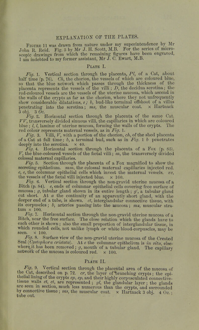 EXPLANATION OF THE PLATES. Figure 11 was drawn from nature under my superintendence by Mr John R. Reid. Fig. 5 by Mr J. H. Scott, M.B. For the series of micro- scopic drawings from wliich the remaining figures have been engraved, I am indebted to my former assistant, Mr J. C. Bwart, M.B. Plate I. Fig. 1. Vertical section through the placenta, PI, of a Cat, about half time (p. 76). Ch, the chorion, the vessels of which are coloured blue, so that the blue network which passes through the thickness of the placenta represents the vessels of the villi; D, the decidua serotina; the red-coloured vessels are the vessels of the uterine mucosa, which ascend in the walls of the crypts as far as the chorion, where they not unfrequently show considerable dilatations, s; &, bud-like terminal ofishoot of a villus penetrating into the serotina; ms, the muscular coat, x Hartnack 3 obj. 3 Oc. Fig. 2. Horizontal section through the placenta of the same Cat. VV, transversely divided sinuous villi, the capillaries in which are coloured blue ; I, I, laminae of uterine mucosa, forming the walls of the crypts. The red colour represents maternal vessels, as in Fig. 1. Fig. 3. Villi, V, with a portion of the chorion, ch, of the shed placenta of a Cat at full time; b, a terminal bud, such as in Fig. 1 h j)enetrates deeply into the serotina. x 40. Fig. 4. Horizontal section through the placenta of a Fox (p. 85). V, the blue-coloured vessels of the foetal villi; m, the transversely divided colossal maternal capillaries. Fig. 5. Section through the placenta of a Fox magnified to show the secreting epithelimu. mm, the colossal maternal capillaries injected red. e, e, the columnar epithelial cells which invest the maternal vessels, vc, the vessels of the foetal villi injected blue, x 160. Fig. 6. Vertical section through the non-gravid uterine mucosa of a Bitch (p. 84). e, ends of columnar epithelial cells covering free surface of mucosa; g, tubular gland shown in its entire length; g', a tubular gland cut short. At a the continuity of an apparently short gland, with the deeper end of a tube, is shown, ct, interglandular cojmective tissue, with its corpuscles; b, arteries passing into the mucosa; ms, muscular stra- tum X 100. Fig. 7. Horizontal section through the non-gravid uterine mucosa of a Bitch, near the free surface. The close relation which the glands have to each other is shown; also the small proportion of interglandular tissue, in which rounded cells, not unlike lymph or white blood-corpuscles, may be seen, x lOO. Fig. 8. Surface view of the non-gravid uterine mucosa of the Crested Seal {Cystophora cristata). At e the columnar epithelium is in situ, else- where^ it has been removed; g, mouth of a tubular gland. The capillary network of the mucosa is coloured red. x 100. Plate IL Fig. 9, Vertical section through the placental area of the mucosa of Ca';. described on p. 72. cr, the layer of Ijranching crypts; the epi- thehal hning of the crypts ep, ep, and their highly corpiisculated connective- tissue walls ct, ct, are represented ; gl, the glandular layer; the glands are seen m section, much less numerous than the crypts, and surrounded by connective tissue ; ms, the muscular coat, x Hartnack 3 obj. 4 Oc • tube out. '