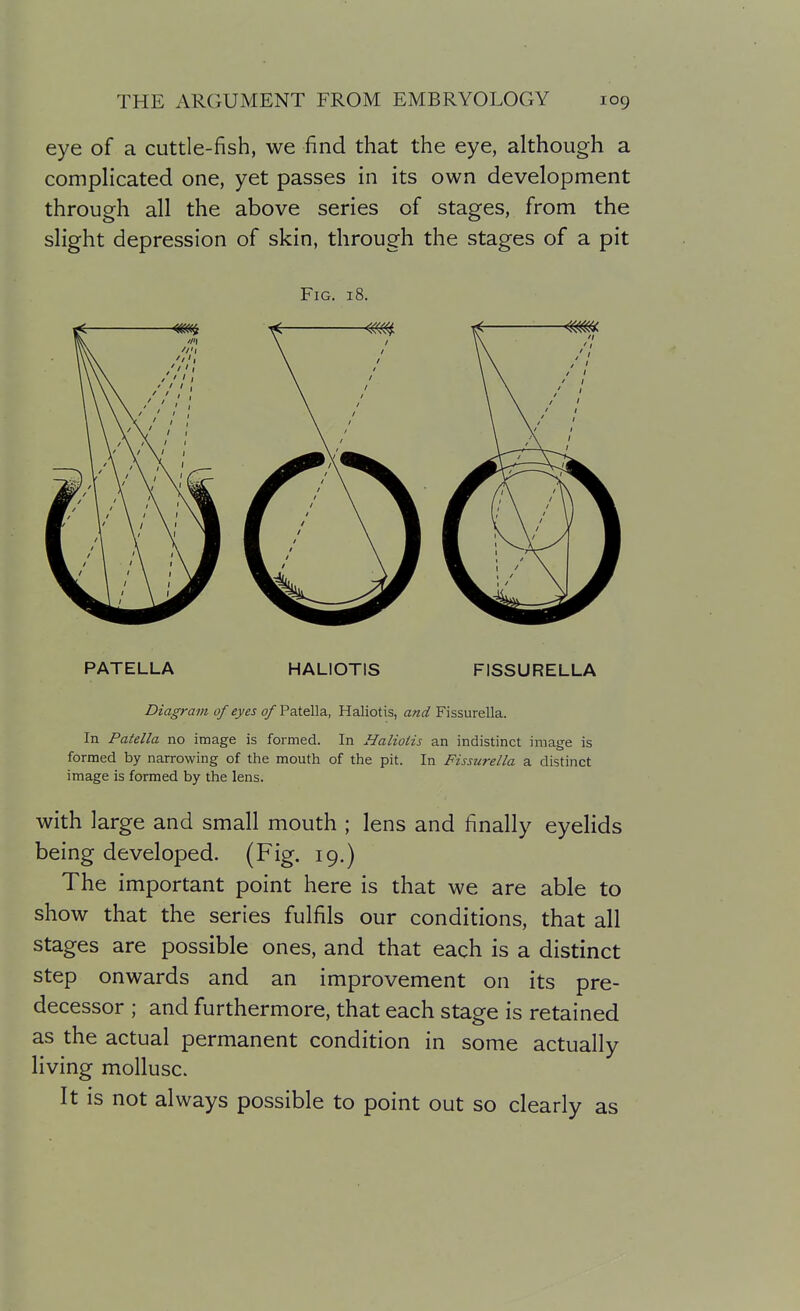 eye of a cuttle-fish, we find that the eye, although a complicated one, yet passes in its own development through all the above series of stages, from the slight depression of skin, through the stages of a pit Fig. 18. PATELLA HALIOTIS FISSURELLA Diagram of eyes of Patella, Haliotis, and Fissurella. In Patella no image is formed. In Haliotis an indistinct image is formed by narrowing of the mouth of the pit. In Fissurella a distinct image is formed by the lens. with large and small mouth ; lens and finally eyelids being developed. (Fig. 19.) The important point here is that we are able to show that the series fulfils our conditions, that all stages are possible ones, and that each is a distinct step onwards and an improvement on its pre- decessor ; and furthermore, that each stage is retained as the actual permanent condition in some actually living mollusc. It is not always possible to point out so clearly as