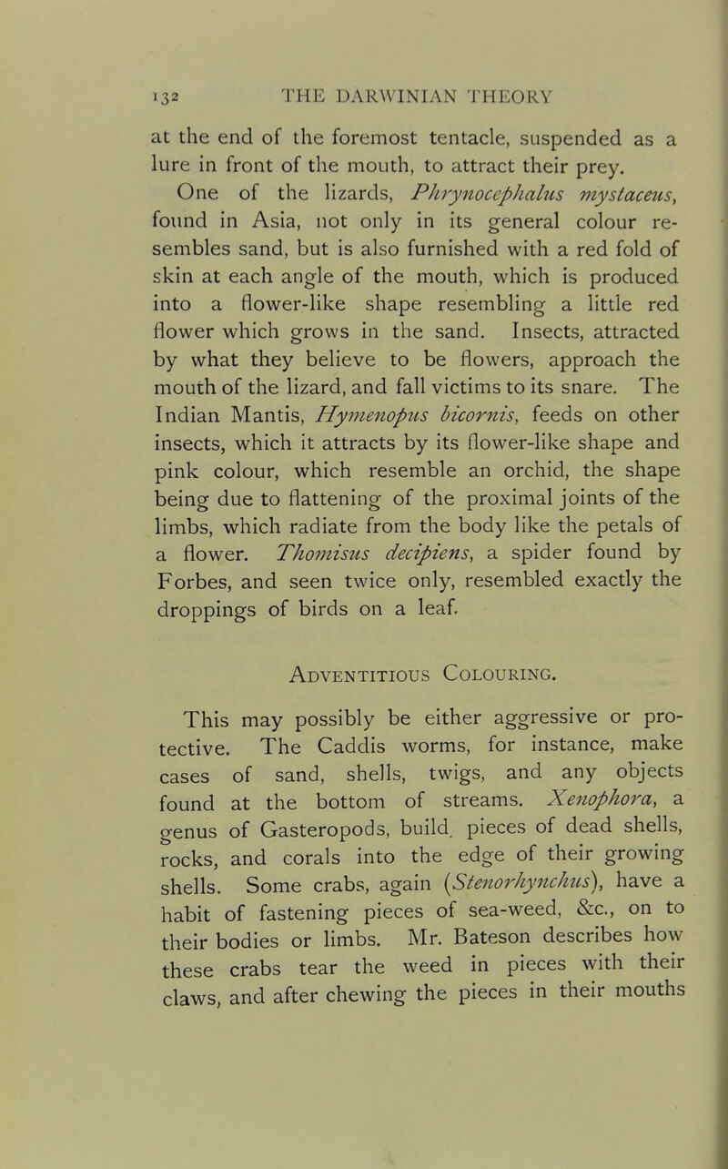 at the end of the foremost tentacle, suspended as a lure in front of the mouth, to attract their prey. One of the lizards, Phrynocephalus mystaceus, found in Asia, not only in its general colour re- sembles sand, but is also furnished with a red fold of skin at each angle of the mouth, which is produced into a flower-like shape resembling a little red flower which grows in the sand. Insects, attracted by what they believe to be flowers, approach the mouth of the lizard, and fall victims to its snare. The Indian Mantis, Hymenopus bicornis, feeds on other insects, which it attracts by its flower-like shape and pink colour, which resemble an orchid, the shape being due to flattening of the proximal joints of the limbs, which radiate from the body like the petals of a flower. Thomisus decipiens, a spider found by Forbes, and seen twice only, resembled exactly the droppings of birds on a leaf. Adventitious Colouring. This may possibly be either aggressive or pro- tective. The Caddis worms, for instance, make cases of sand, shells, twigs, and any objects found at the bottom of streams. Xenophora, a genus of Gasteropods, build, pieces of dead shells, rocks, and corals into the edge of their growing shells. Some crabs, again {Stenorhynchits), have a habit of fastening pieces of sea-weed, &c., on to their bodies or limbs. Mr. Bateson describes how these crabs tear the weed in pieces with their claws, and after chewing the pieces in their mouths