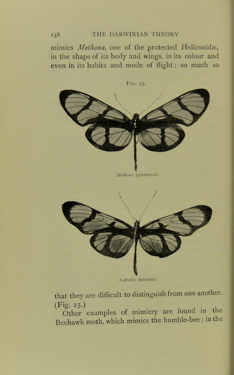 mimics Methona, one of the protected Heliconidse, in the shape of its body and wings, in its colour and even in its habits and mode of flig^ht; so much so Fig. 25. V \ Methona (protected). Leptalis (mimetic). that they are difficult to distinguish from one another. (Fig. 25.) Other examples of mimicry are found m the Beehawk moth, which mimics the humble-bee ; in the