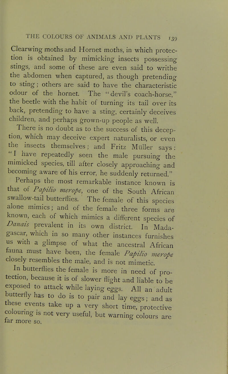 Clearwing moths and Hornet moths, in which protec- tion is obtained by mimicking insects possessing stings, and some of these are even said to writhe the abdomen when captured, as though pretending to sting; others are said to have the characteristic odour of the hornet. The devil's coach-horse, the beetle with the habit of turning its tail over its back, pretending to have a sting, certainly deceives children, and perhaps grown-up people as well. There is no doubt as to the success of this decep- tion, which may deceive expert naturalists, or even the insects themselves; and Fritz Mtiller says: I have repeatedly seen the male pursuing the mimicked species, till after closely approaching and becoming aware of his error, he suddenly returned. Perhaps the most remarkable instance known is that of Papilio merope, one of the South African swallow-tail butterflies. The female of this species alone mimics; and of the female three forms are known, each of which mimics a different species of Danais prevalent in its own district. In Mada- gascar, which in so many other instances furnishes us with a glimpse of what the ancestral African fauna must have been, the female Papilio merope closely resembles the male, and is not mimetic. In butterflies the female is more in need of pro- tection, because it is of slower flight and liable to be exposed to attack while laying eggs. All an adult butterfly has to do is to pair and lay eggs; and as these events take up a very short time, protective colouring is not very useful, but warning colours are far more so.