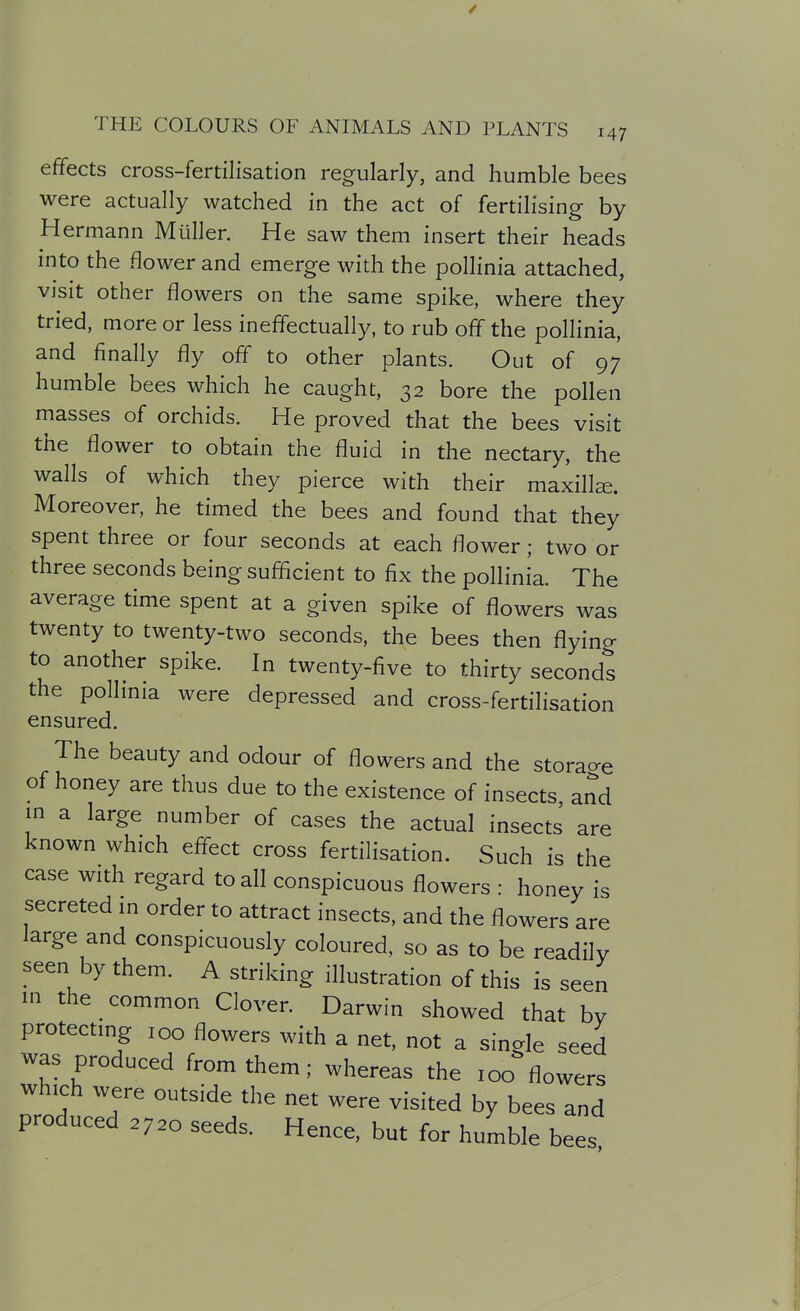 effects cross-fertilisation regularly, and humble bees were actually watched in the act of fertilising by Hermann Mliller. He saw them insert their heads into the flower and emerge with the pollinia attached, visit other flowers on the same spike, where they tried, more or less ineffectually, to rub off the pollinia, and finally fly off to other plants. Out of 97 humble bees which he caught, 32 bore the pollen masses of orchids. He proved that the bees visit the flower to obtain the fluid in the nectary, the walls of which they pierce with their maxilla. Moreover, he timed the bees and found that they spent three or four seconds at each flower; two or three seconds being sufficient to fix the pollinia. The average time spent at a given spike of flowers was twenty to twenty-two seconds, the bees then flying to another spike. In twenty-five to thirty seconds the pollinia were depressed and cross-fertilisation ensured. The beauty and odour of flowers and the storao-e of honey are thus due to the existence of insects, and in a large number of cases the actual insects are known which effect cross fertilisation. Such is the case with regard to all conspicuous flowers : honey is secreted in order to attract insects, and the flowers are large and conspicuously coloured, so as to be readily seen by them. A striking illustration of this is seen m the common Clover. Darwin showed that by protecting 100 flowers with a net, not a sinale seed was produced from them; whereas the 100^ flowers which were outside the net were visited by bees and produced 2720 seeds. Hence, but for humble bees