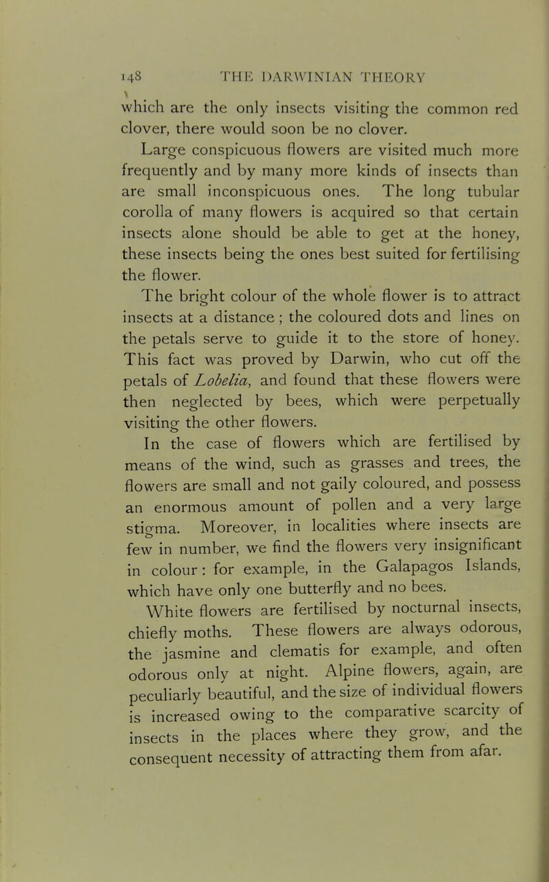 which are the only insects visiting the common red clover, there would soon be no clover. Large conspicuous flowers are visited much more frequently and by many more kinds of insects than are small inconspicuous ones. The long tubular corolla of many flowers is acquired so that certain insects alone should be able to get at the honey, these insects being the ones best suited for fertilising the flower. The bright colour of the whole flower is to attract insects at a distance ; the coloured dots and lines on the petals serve to guide it to the store of honey. This fact was proved by Darwin, who cut off the petals of Lobelia, and found that these flowers were then neglected by bees, which were perpetually visitinof the other flowers. In the case of flowers which are fertilised by means of the wind, such as grasses and trees, the flowers are small and not gaily coloured, and possess an enormous amount of pollen and a very large stigma. Moreover, in localities where insects are few in number, we find the flowers very insignificant in colour: for example, in the Galapagos Islands, which have only one butterfly and no bees. White flowers are fertilised by nocturnal insects, chiefly moths. These flowers are always odorous, the jasmine and clematis for example, and often odorous only at night. Alpine flowers, again, are peculiarly beautiful, and the size of individual flowers is increased owing to the comparative scarcity of insects in the places where they grow, and the consequent necessity of attracting them from afar.