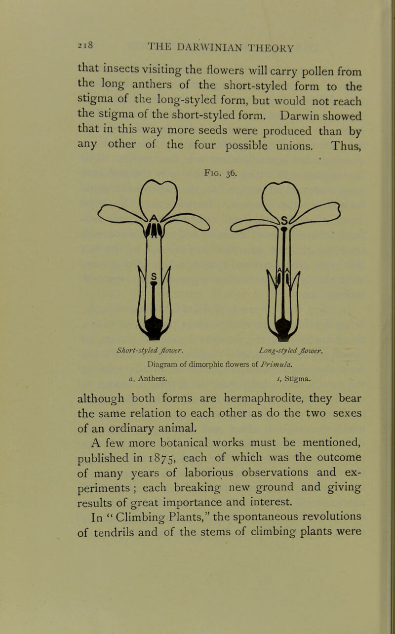 that insects visiting the flowers will carry pollen from the long anthers of the short-styled form to the stigma of the long-styled form, but would not reach the stigma of the short-styled form. Darwin showed that in this way more seeds were produced than by any other of the four possible unions. Thus, Fig. 36. Short-styled flower. Long-styled flower. Diagram of dimorphic flowers of Primula, a, Anthers. s, Stigma. although both forms are hermaphrodite, they bear the same relation to each other as do the two sexes of an ordinary animal. A few more botanical works must be mentioned, published in 1875, each of which was the outcome of many years of laborious observations and ex- periments ; each breaking new ground and giving results of great importance and interest. In Climbing Plants, the spontaneous revolutions of tendrils and of the stems of climbing plants were