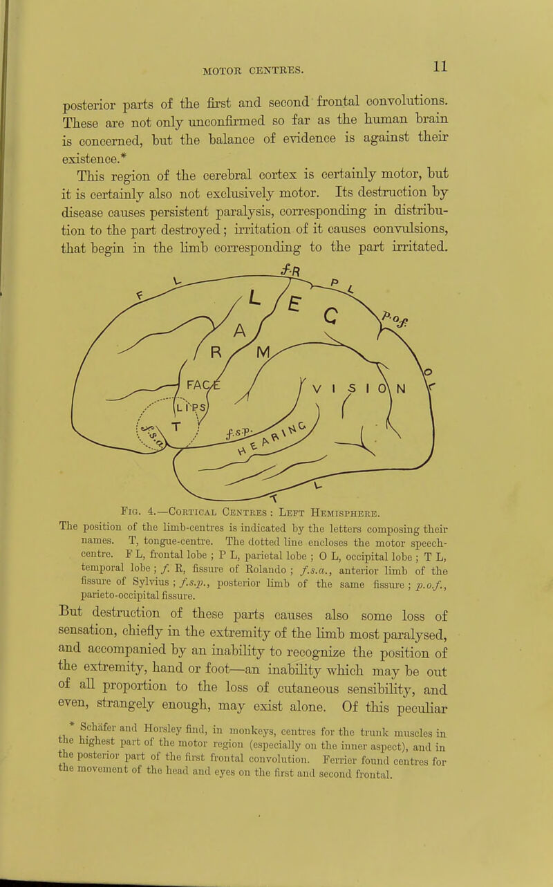 MOTOR CENTRES. posterior parts of the first and second frontal convolutions. These are not only unconfirmed so far as the human brain is concerned, but the balance of evidence is against their existence.* This region of the cerebral cortex is certainly motor, but it is certainly also not exclusively motor. Its destruction by disease causes persistent paralysis, con-esponding in distribu- tion to the part destroyed; irritation of it causes convulsions, that begin in the limb corresponding to the part irritated. Fig. 4.—Cortical Centres : Left Hemisphere. The position of the limb-centres is indicated by the letters composing their names. T, tongue-centre. The dotted line encloses the motor speech- centre. F L, frontal lobe ; P L, parietal lobe ; 0 L, occipital lobe ; T L, temporal lobe; /. K, fissure of Rolando ; f.s.a., anterior limb of the fissure of Sylvius ;/.s.^j., posterior limb of the same fissure; p-o.f., parieto-occipital fissure. But destruction of these parts causes also some loss of sensation, chiefly in the extremity of the limb most paralysed, and accompanied by an inability to recognize the position of the extremity, hand or foot—an inability which may be out of all proportion to the loss of cutaneous sensibility, and even, strangely enough, may exist alone. Of this peculiar * Schiifcr and Horsley find, in moukeys, centies for the trunk muscles in the highest part of the motor i-egion (especially on the inner aspect), and in the posterior part of the first frontal convolution. Ferrier found centi-es for the movement of the head and eyes on the first and second frontal