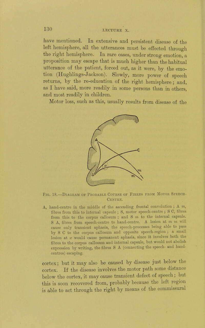 LECTURE X. have mentioned. In extensive and persistent disease of the left hemisphere, all the utterances mnst be effected thi-ough the right hemisphere. In rare cases, tmder strong emotion, a proposition may escape that is much higher than the habitual utterance of the patient, forced out, as it were, by the emo- tion (Hughlings-Jackson). Slowly, more power of speech retui-ns, by the re-education of the right hemisphere; and, as I have said, more readily in some persons than in others, and most readily in children. Motor loss, such as this, usually results from disease of the Fig. 18.—Diagram of Probable Covrse of Fibres from Motor Speech- Centre. A, liaud-centi-e in the middle of the ascending frontal convolution ; A m, fibres fr-om this to internal capsule ; S, motor speech-centi-e ; S C, fibres from this to the corpus callosum ; and S m to the internal capsule. S A, fibres from speech-centre to hand-centre. A lesion at m m will cause only transient aphasia, the speech-processes being able to pass by S C to the corpus callosum and opposite speech-region ; a small lesion at x would cause permanent aphasia, since it involves both the fibres to the corpus callosum and internal capsule, but would not abolish e.xpression by writing, the fibres S A (connecting the speech- and hand- centres) escaping. cortex; but it may also be caused by disease just below the cortex. If the disease involves the motor path some distance below the cortex, it may cause transient defect of speech; but this is soon recovered from, probably because the left region is able to act thi'ough the right by means of the commissural