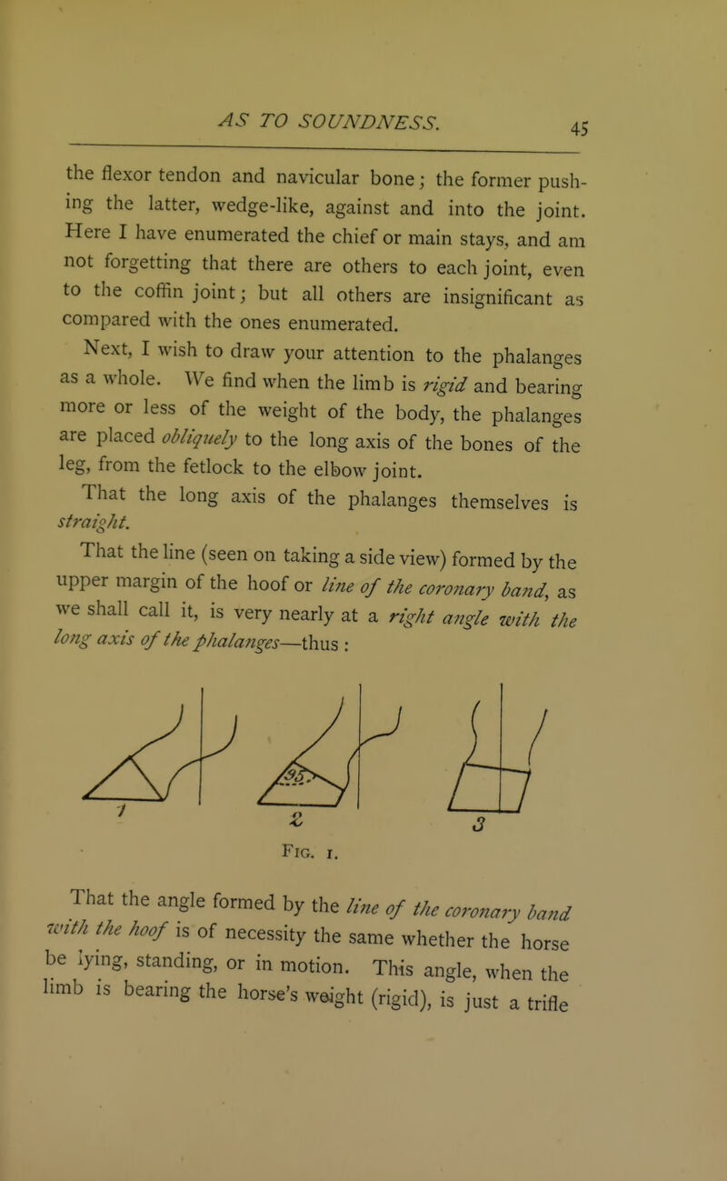 45 the flexor tendon and navicular bone; the former push- ing the latter, wedge-like, against and into the joint. Here I have enumerated the chief or main stays, and am not forgetting that there are others to each joint, even to the coffin joint; but all others are insignificant as compared with the ones enumerated. Next, I wish to draw your attention to the phalanges as a whole. We find when the limb is rigid and bearing more or less of the weight of the body, the phalanges are placed obliquely to the long axis of the bones of the leg, from the fetlock to the elbow joint. That the long axis of the phalanges themselves is straight. That the line (seen on taking a side view) formed by the upper margin of the hoof or line of the coronary band, as we shall call it, is very nearly at a right angle with the long axis of the phalanges—thus : Fig. That the angle formed by the line of the coronary band with the hoof is of necessity the same whether the horse be lying, standing, or in motion. This angle, when the hmb is bearing the horse's weight (rigid), is just a trifle